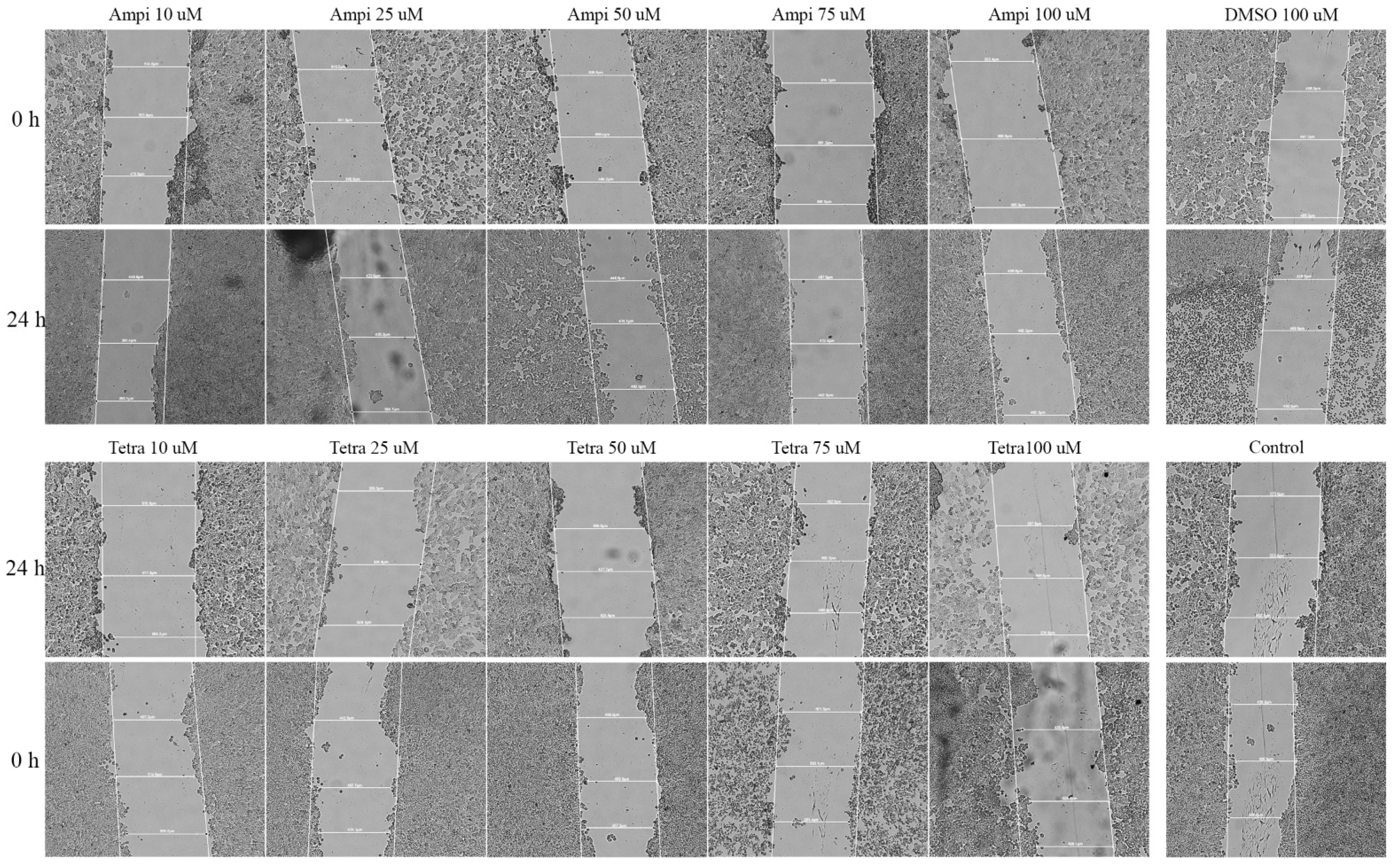 Curroncol 28 00225 g005