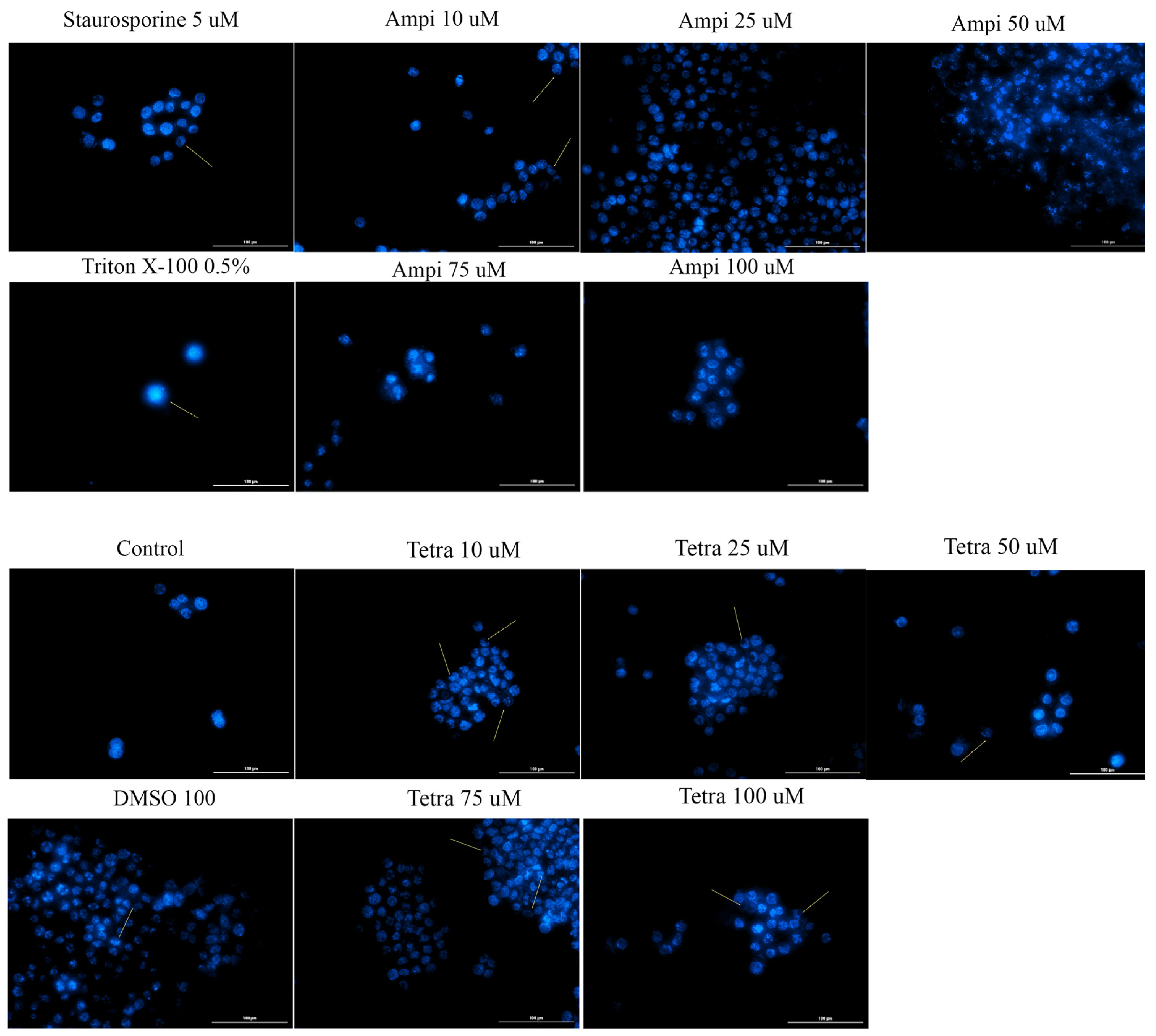 Curroncol 28 00225 g007