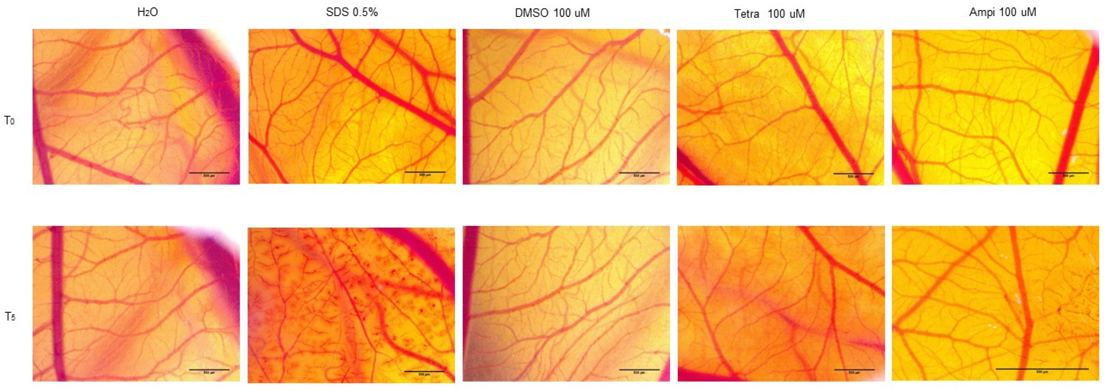 Curroncol 28 00225 g008