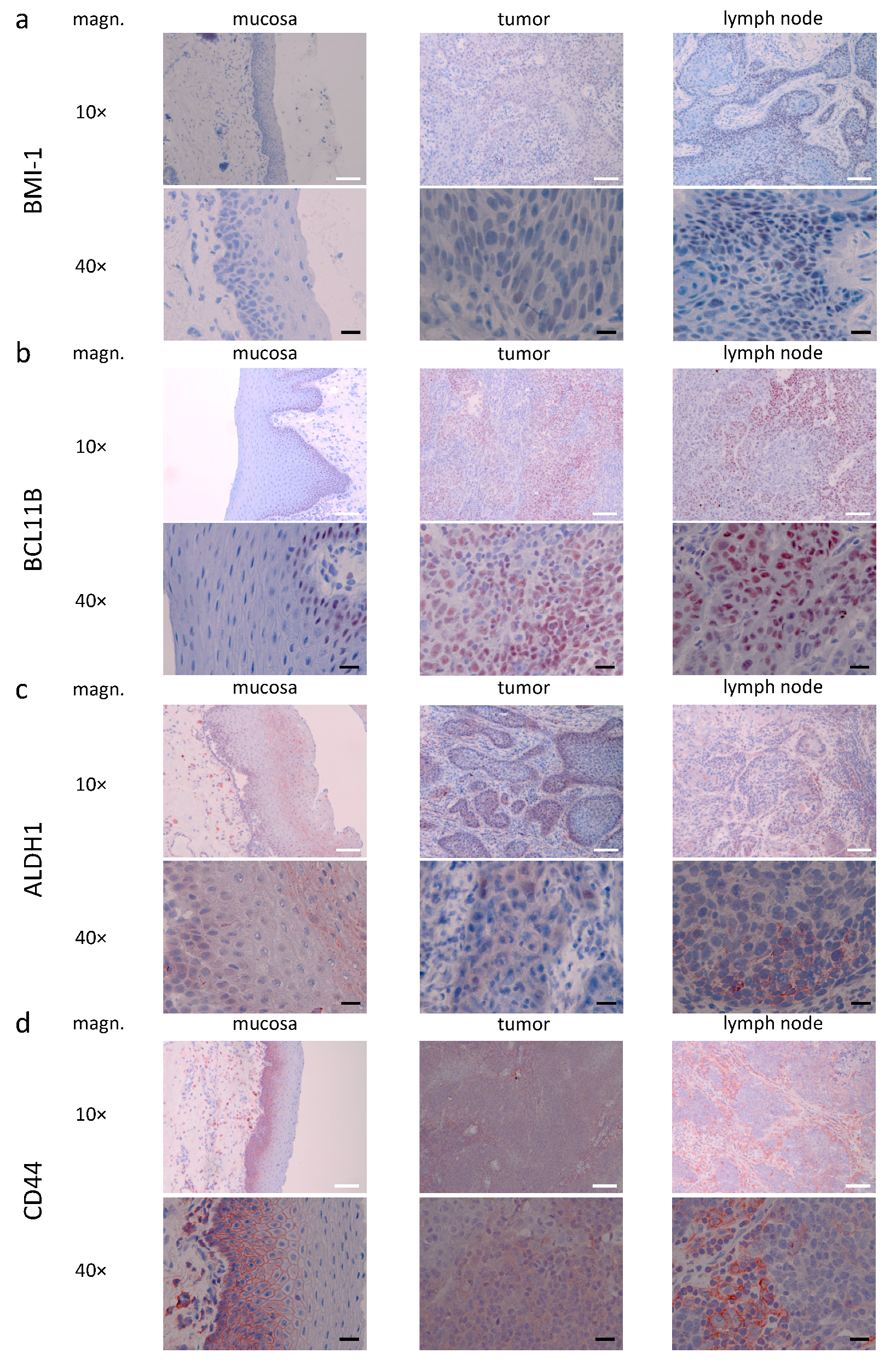 Curroncol 28 00241 g003 Curroncol 28 00241 g003