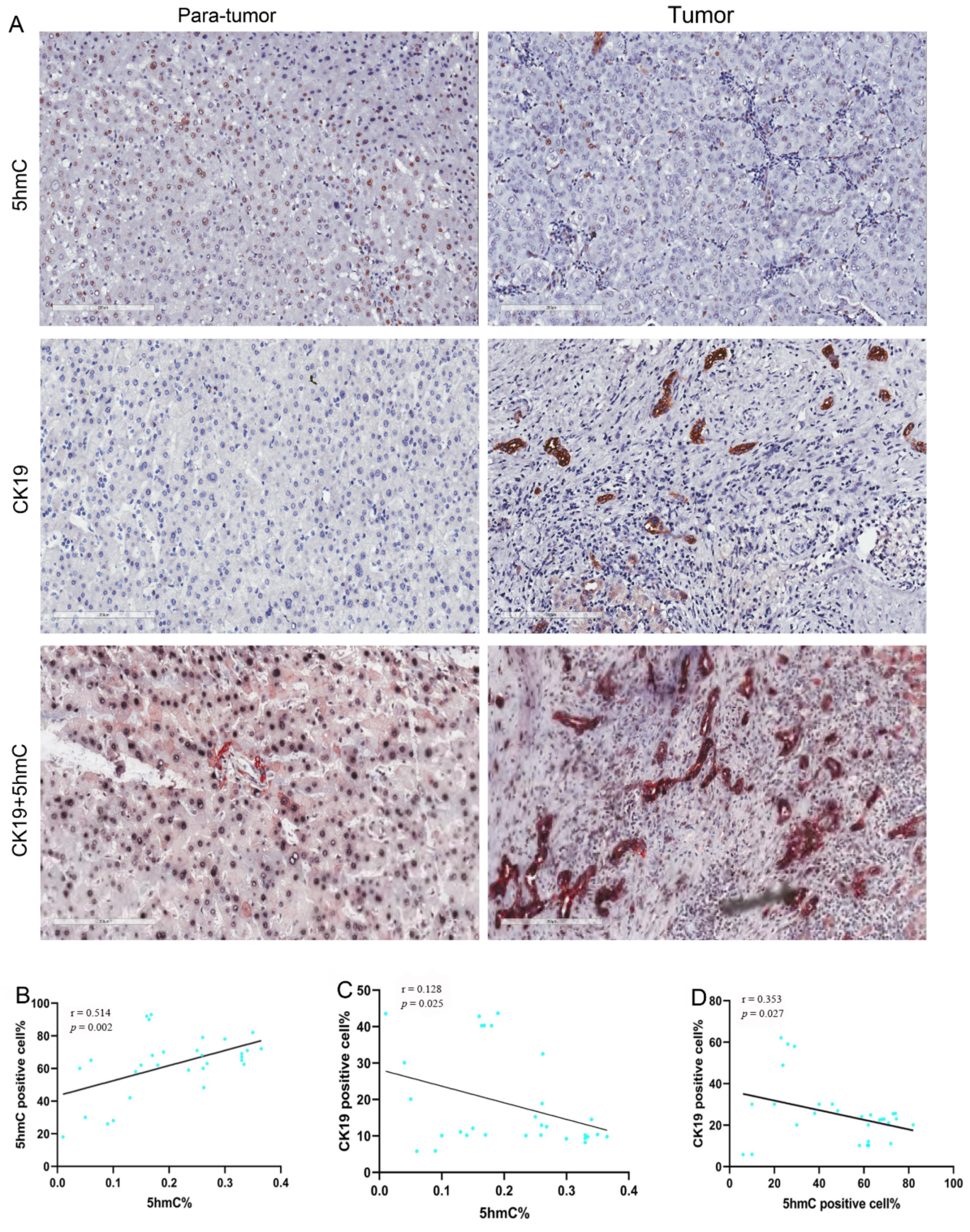 Curroncol 28 00321 g003