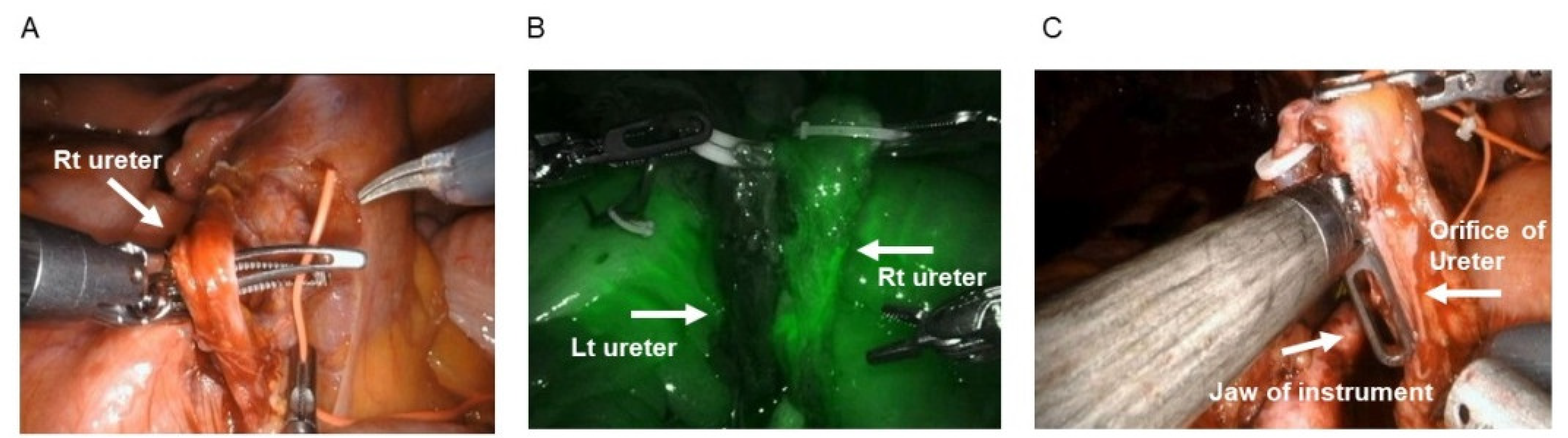 Curroncol 28 00348 g001