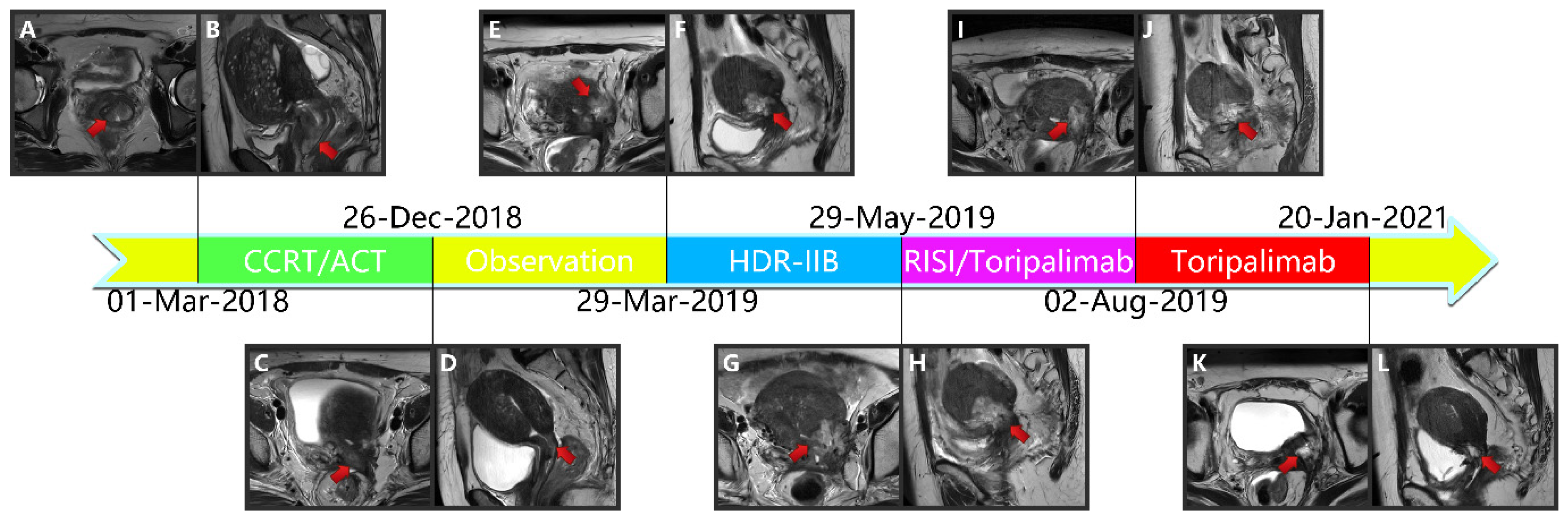 Curroncol 28 00387 g002a