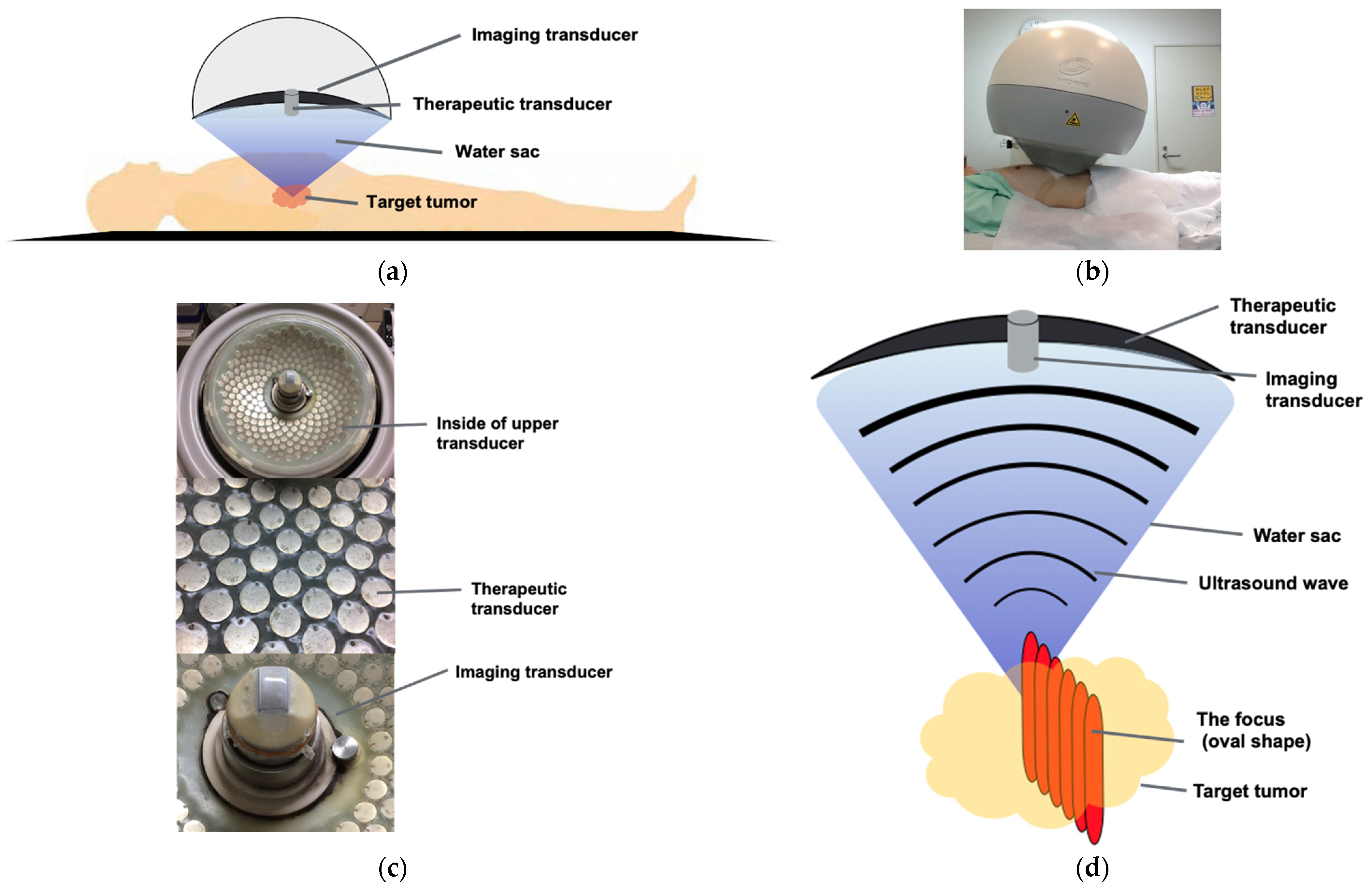 Curroncol 28 00409 g007