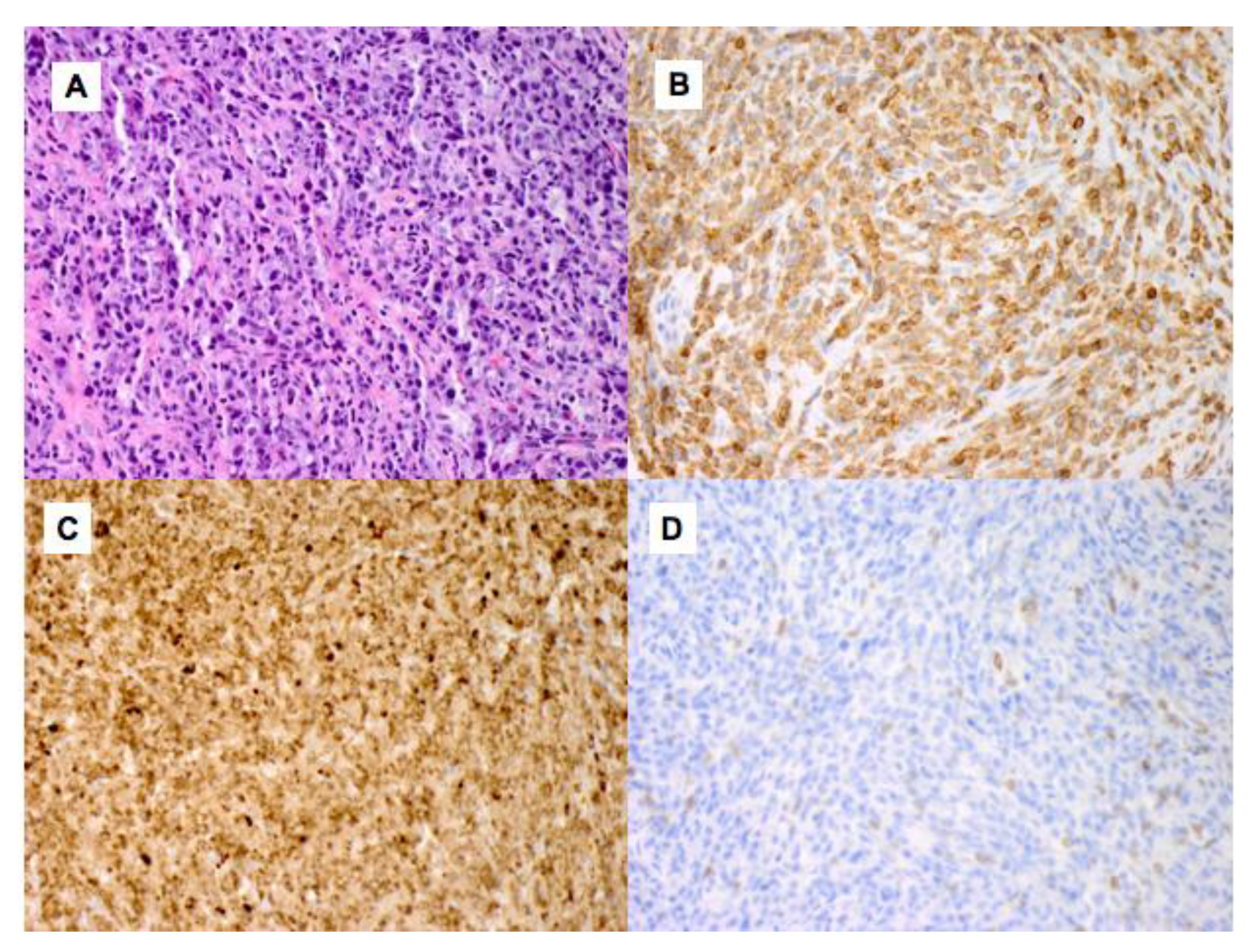 Curroncol 28 00426 g002