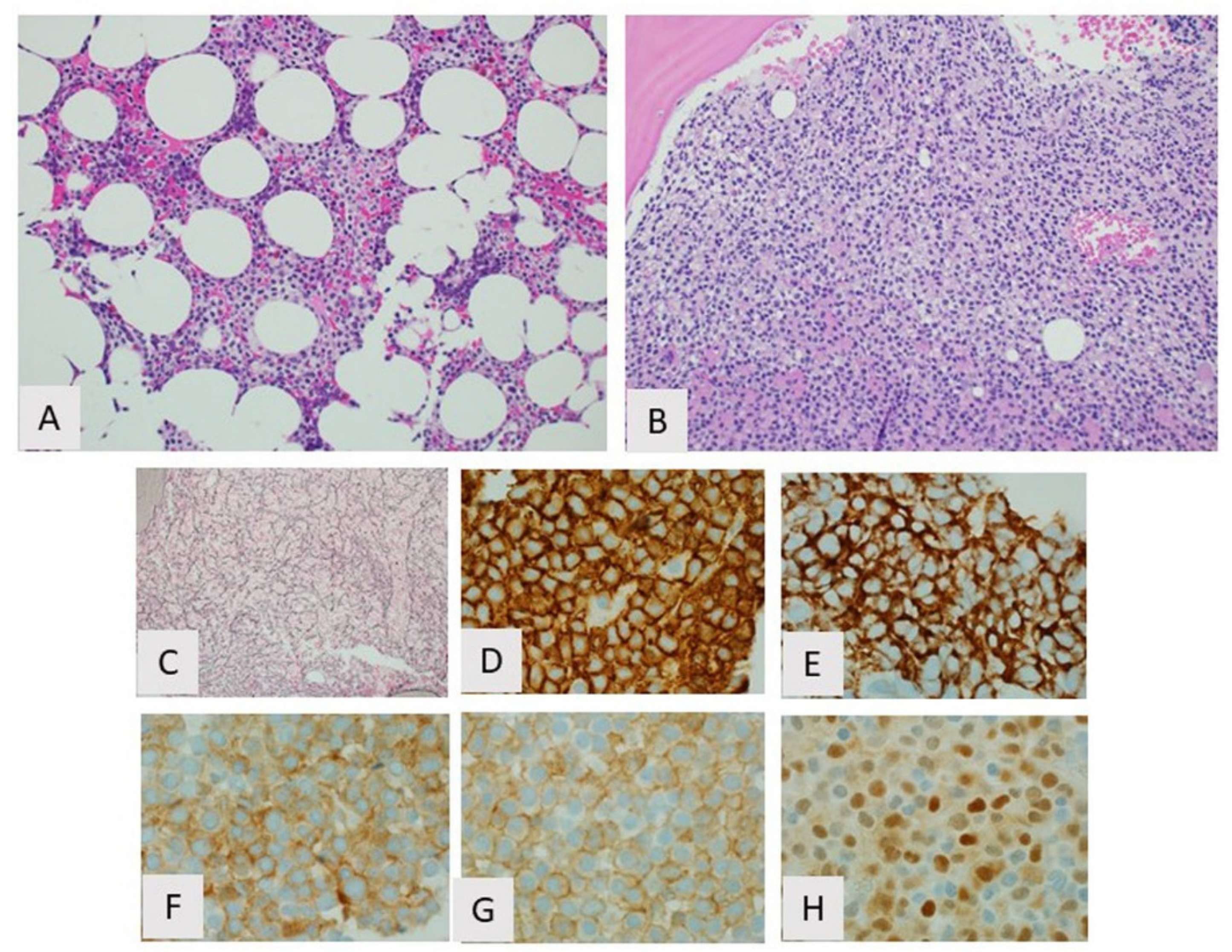 Curroncol 28 00430 g002