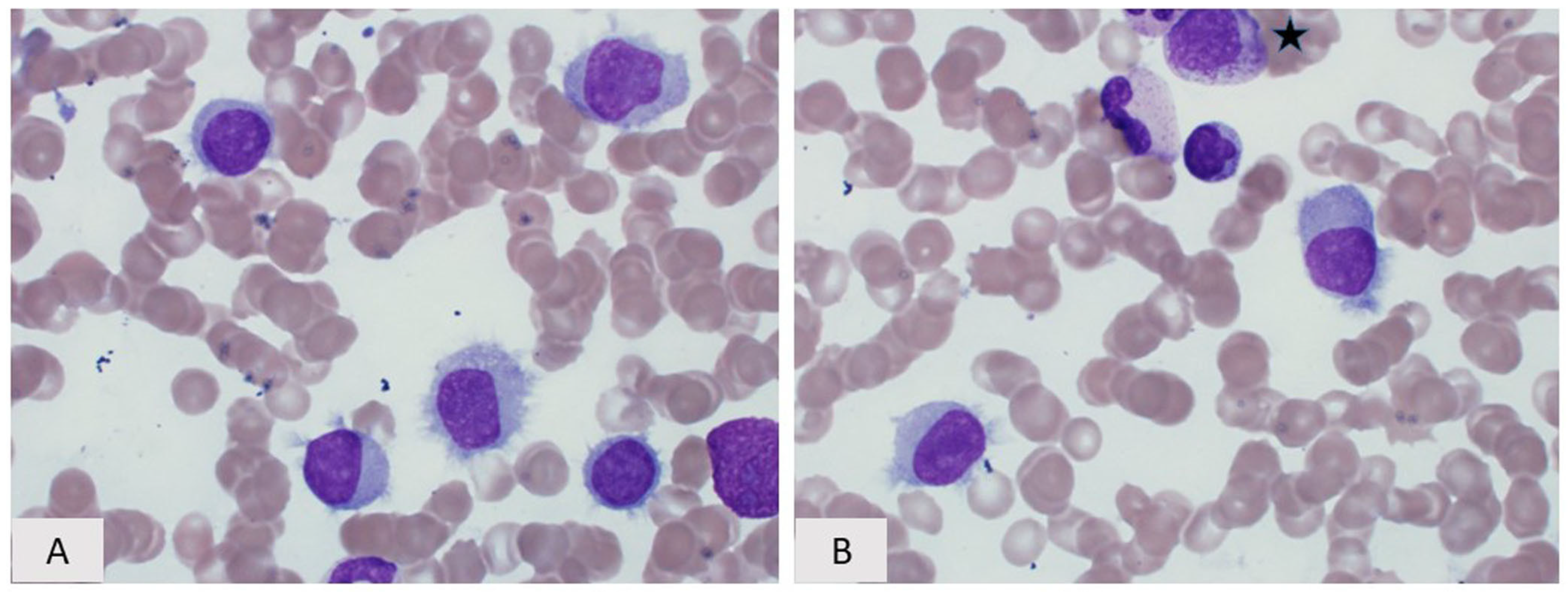 Curroncol 28 00430 g004