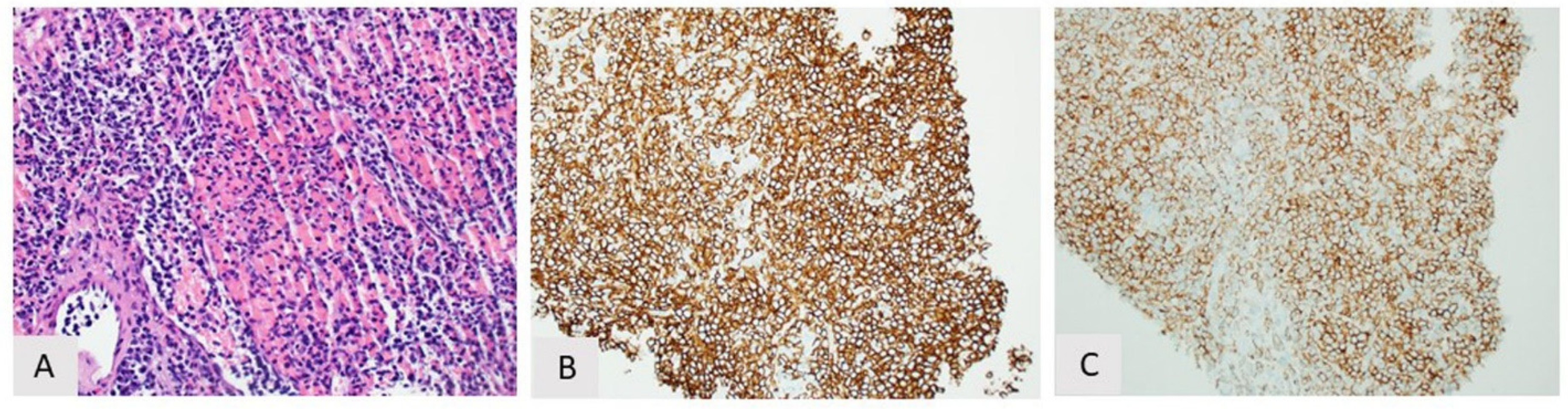 Curroncol 28 00430 g005