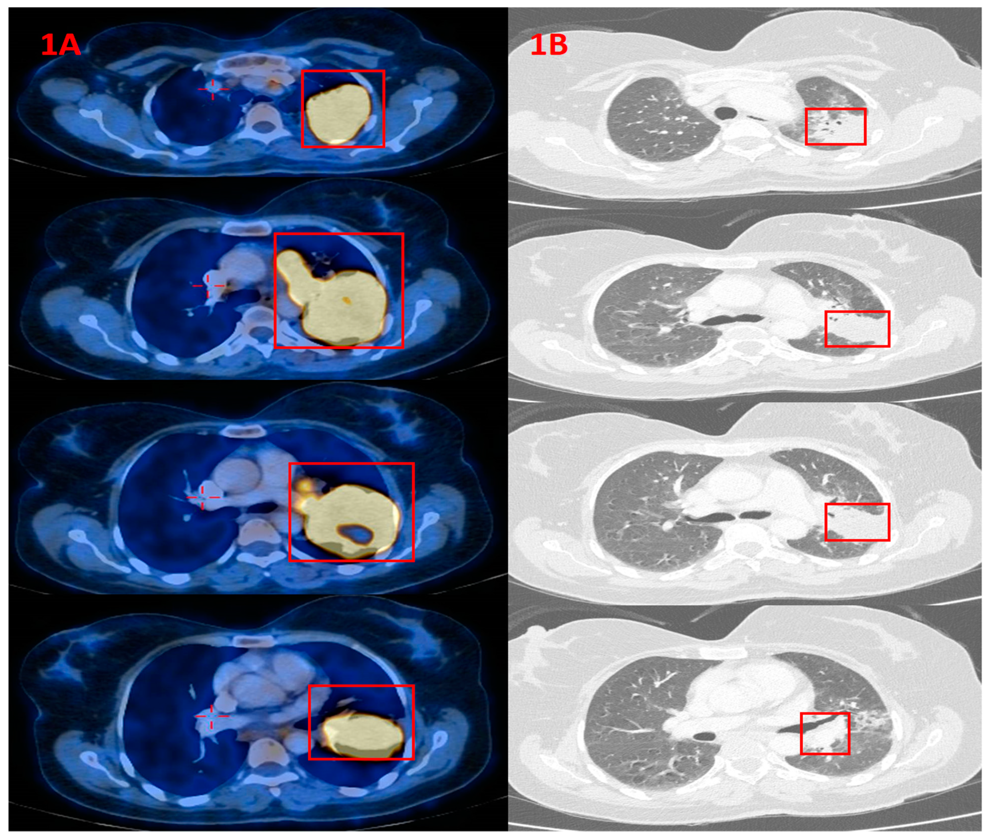 Curroncol 29 00016 g001
