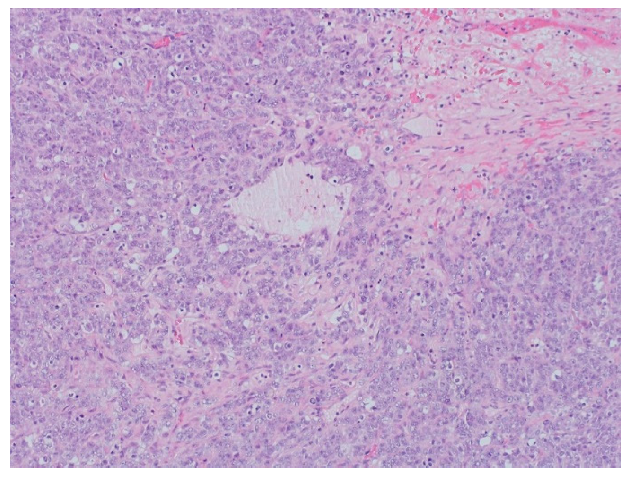 Curroncol 29 00037 g004