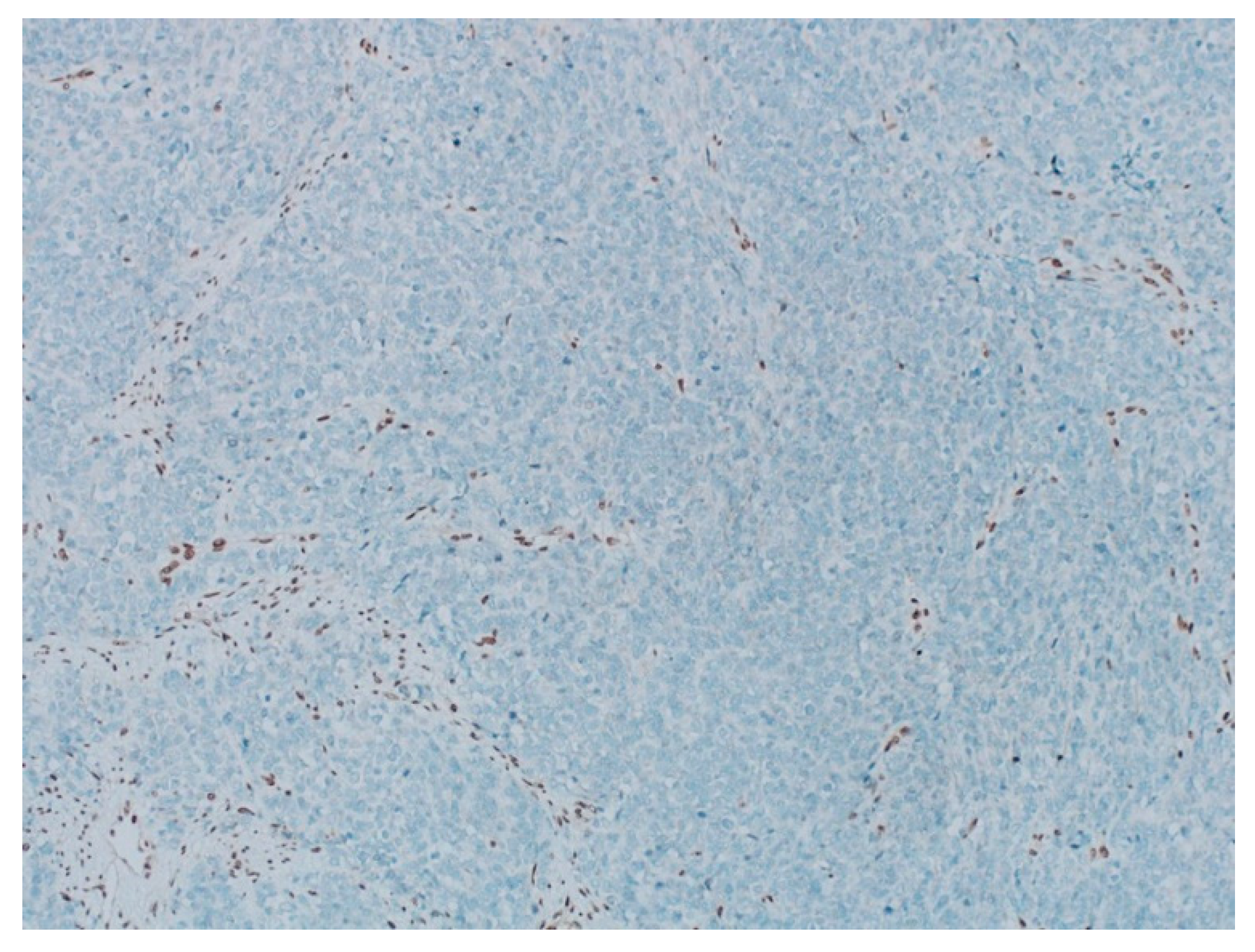 Curroncol 29 00037 g005