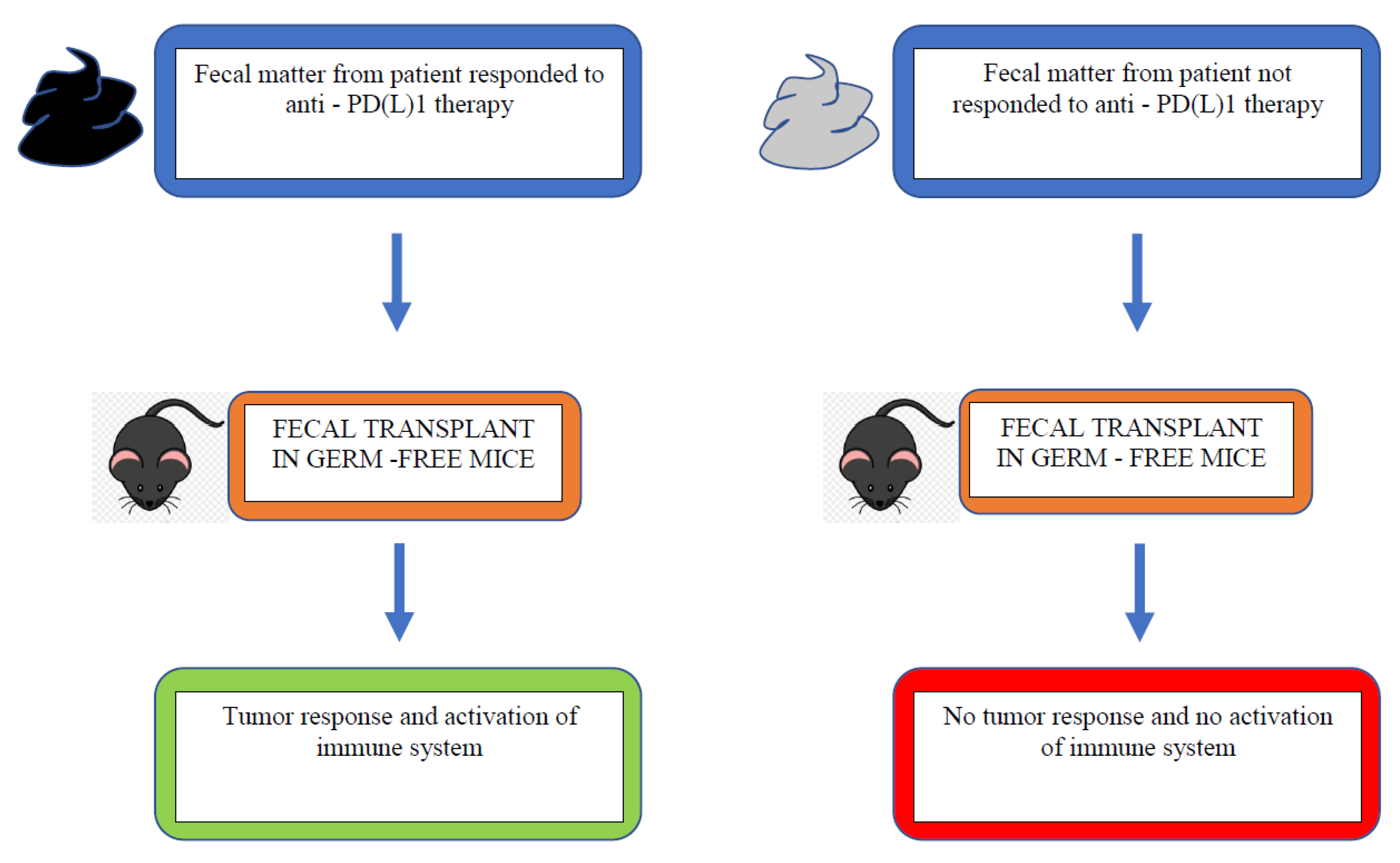 Curroncol 29 00043 g003