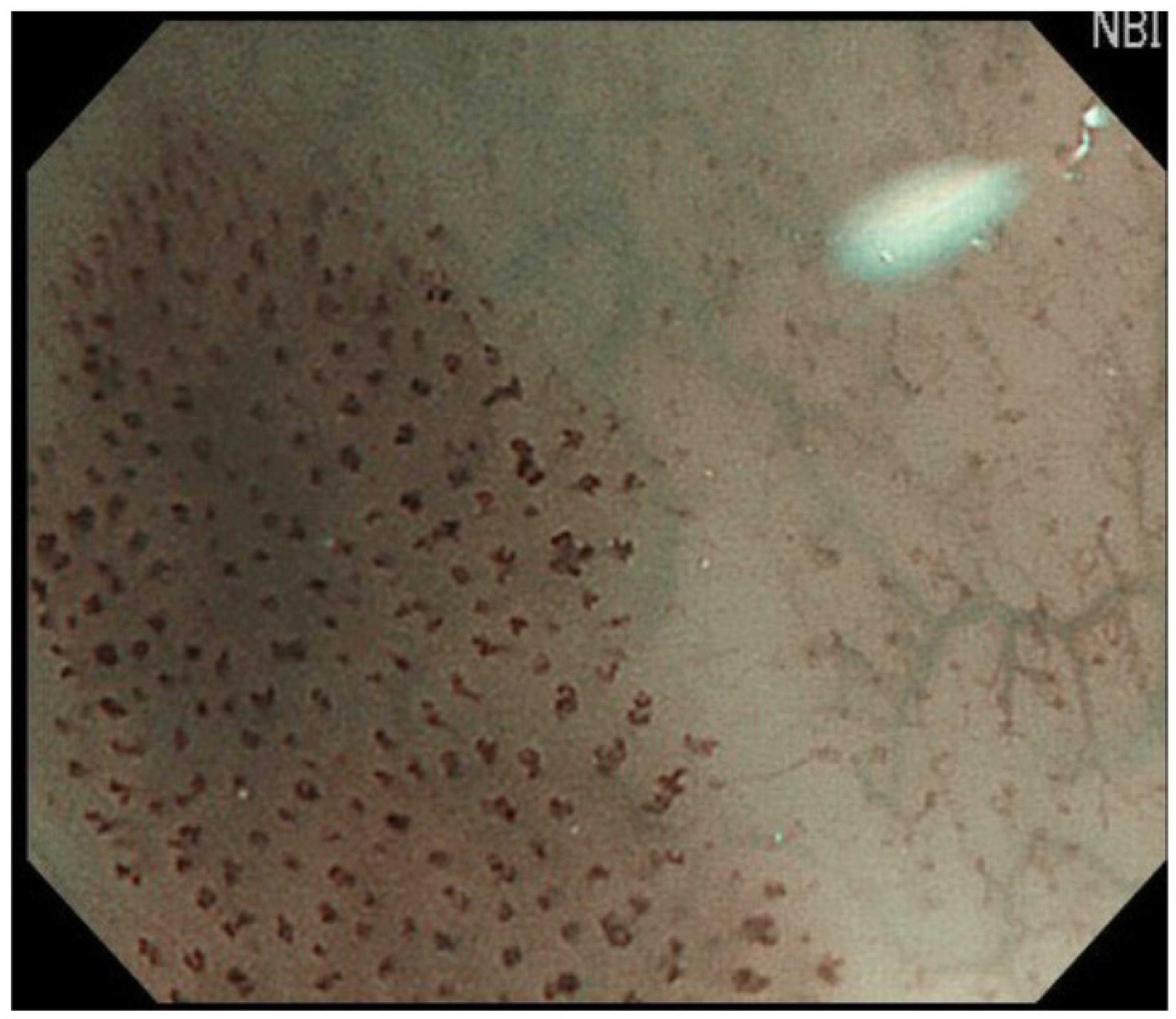 Curroncol 29 00048 g001