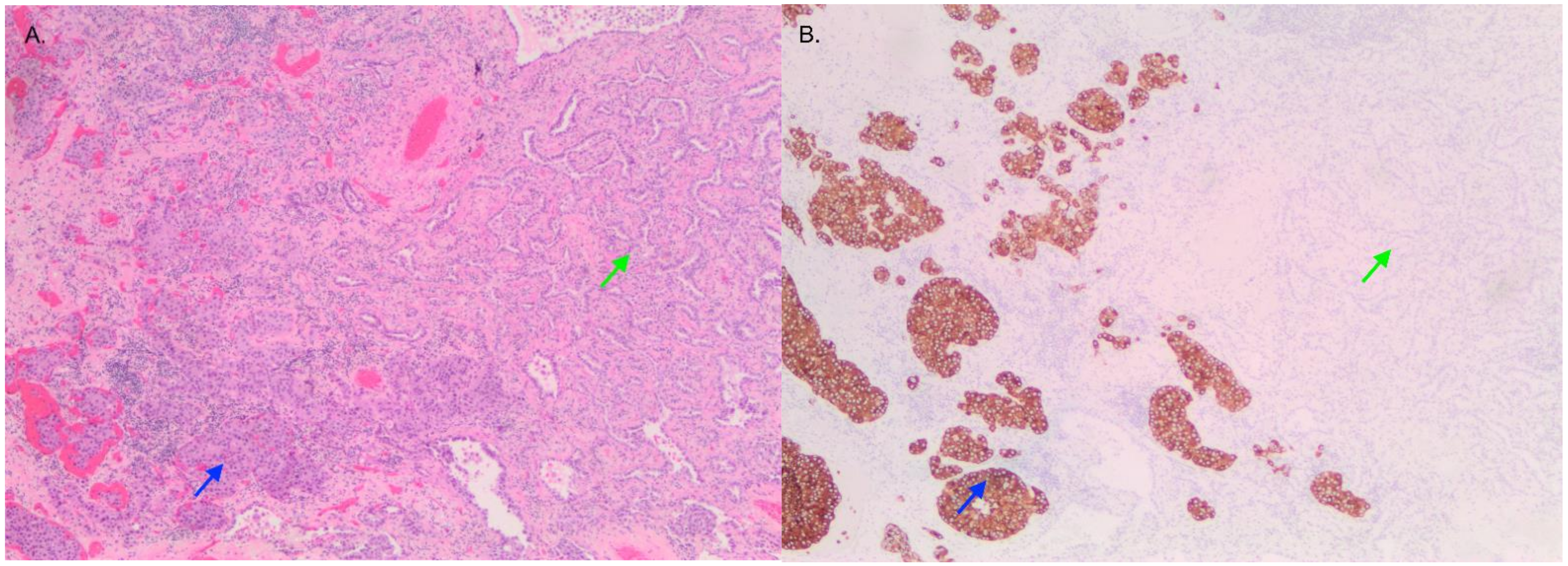 Curroncol 29 00072 g001