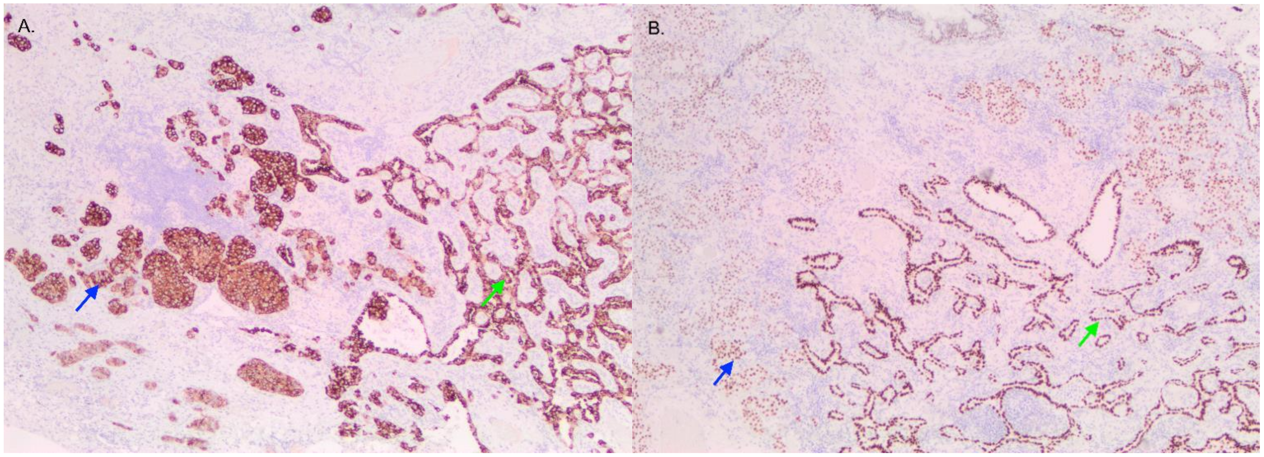 Curroncol 29 00072 g002