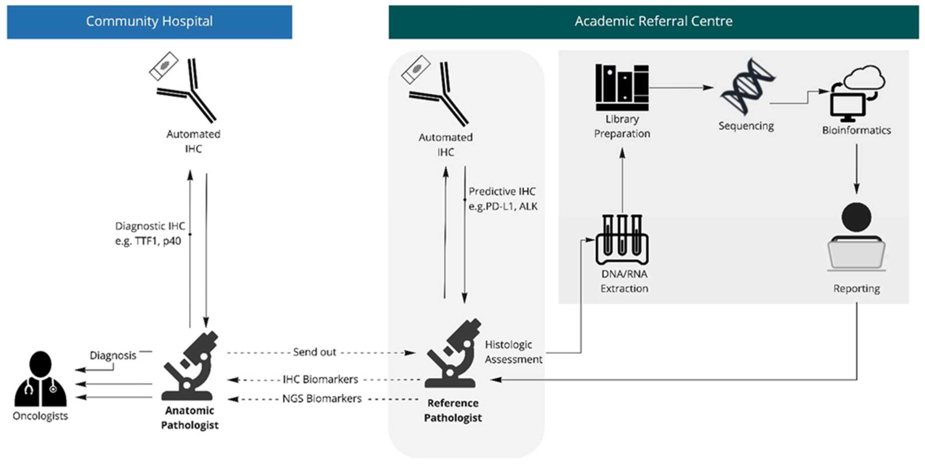Curroncol 29 00113 g001