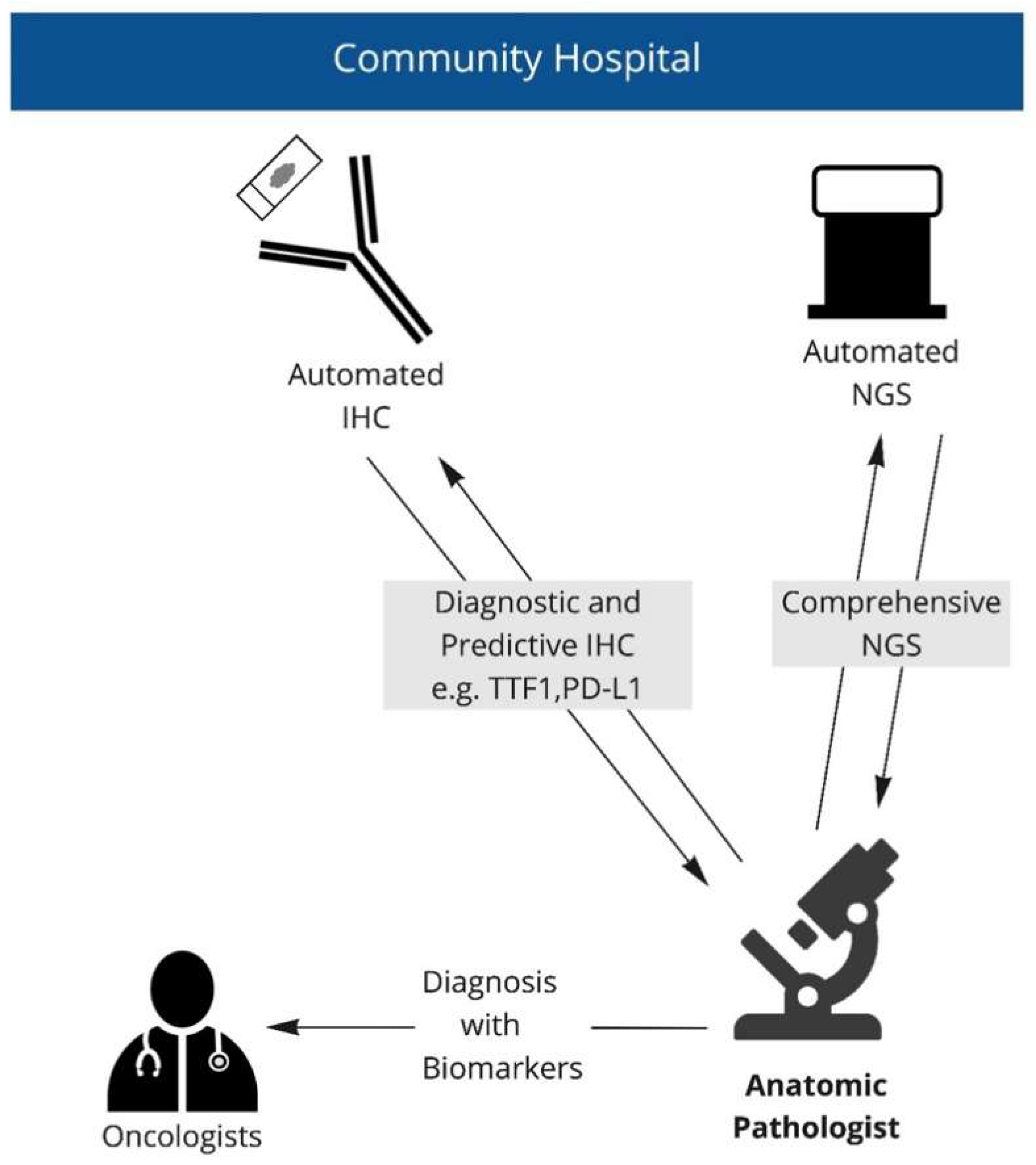 Curroncol 29 00113 g002