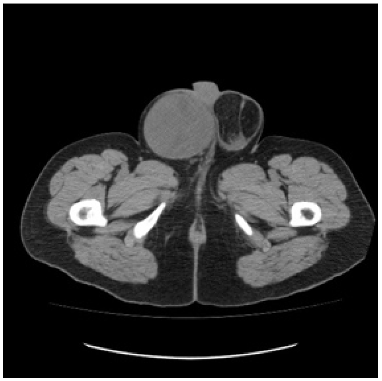 Curroncol 29 00148 g002