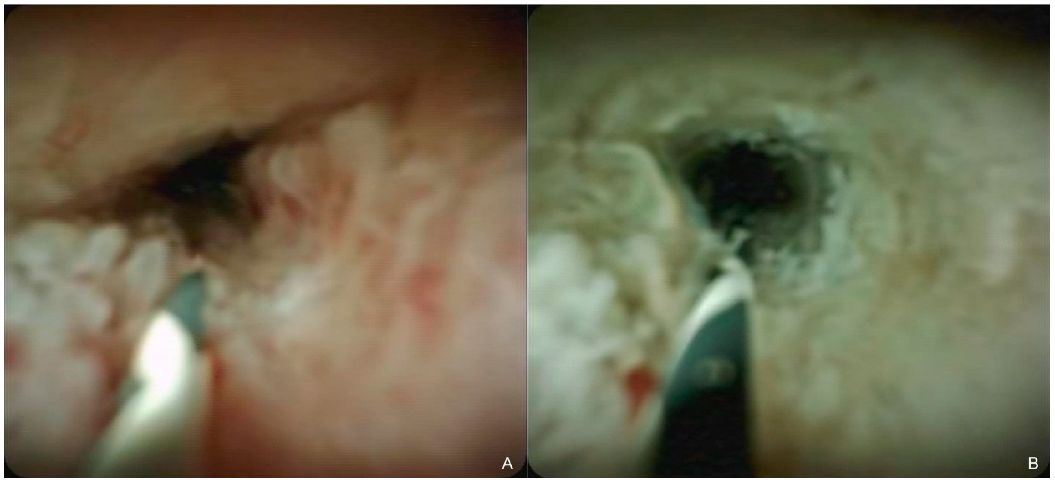 Curroncol 29 00182 g001