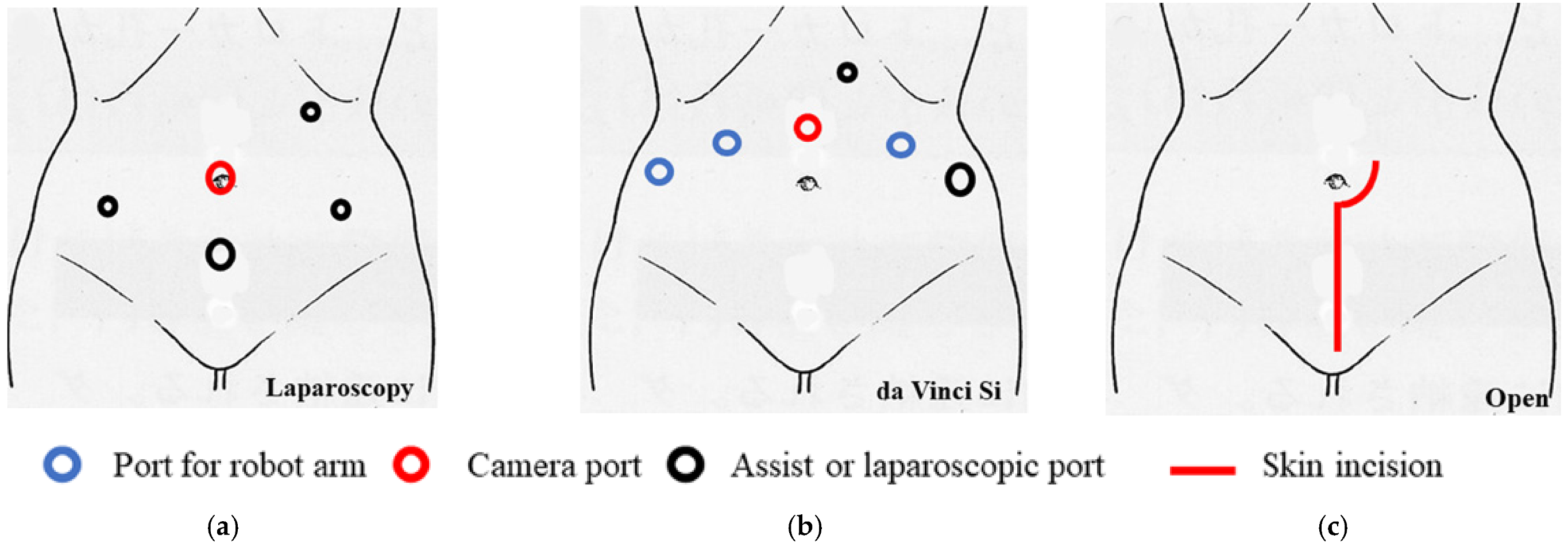 Curroncol 29 00185 g001