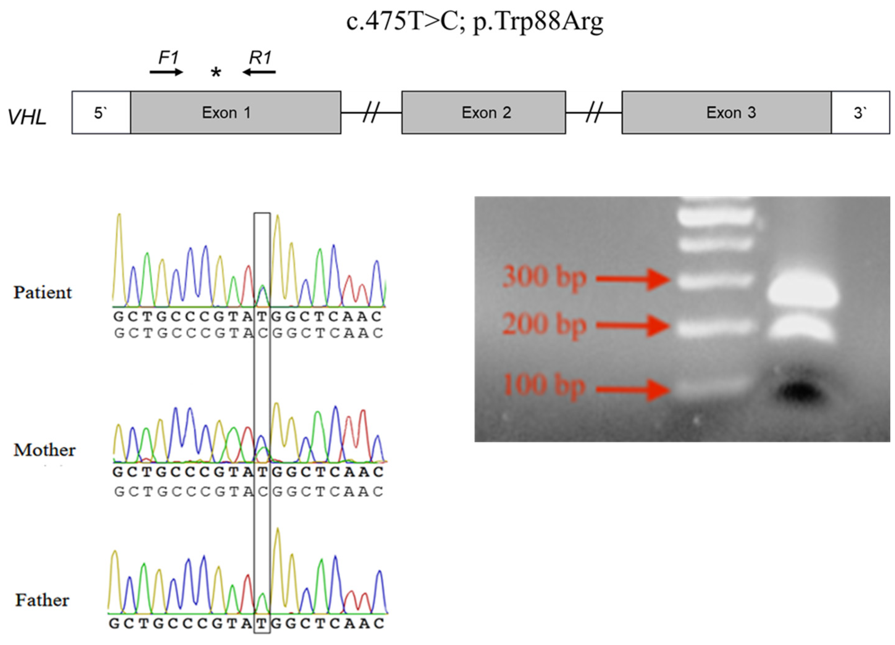 Curroncol 29 00192 g002