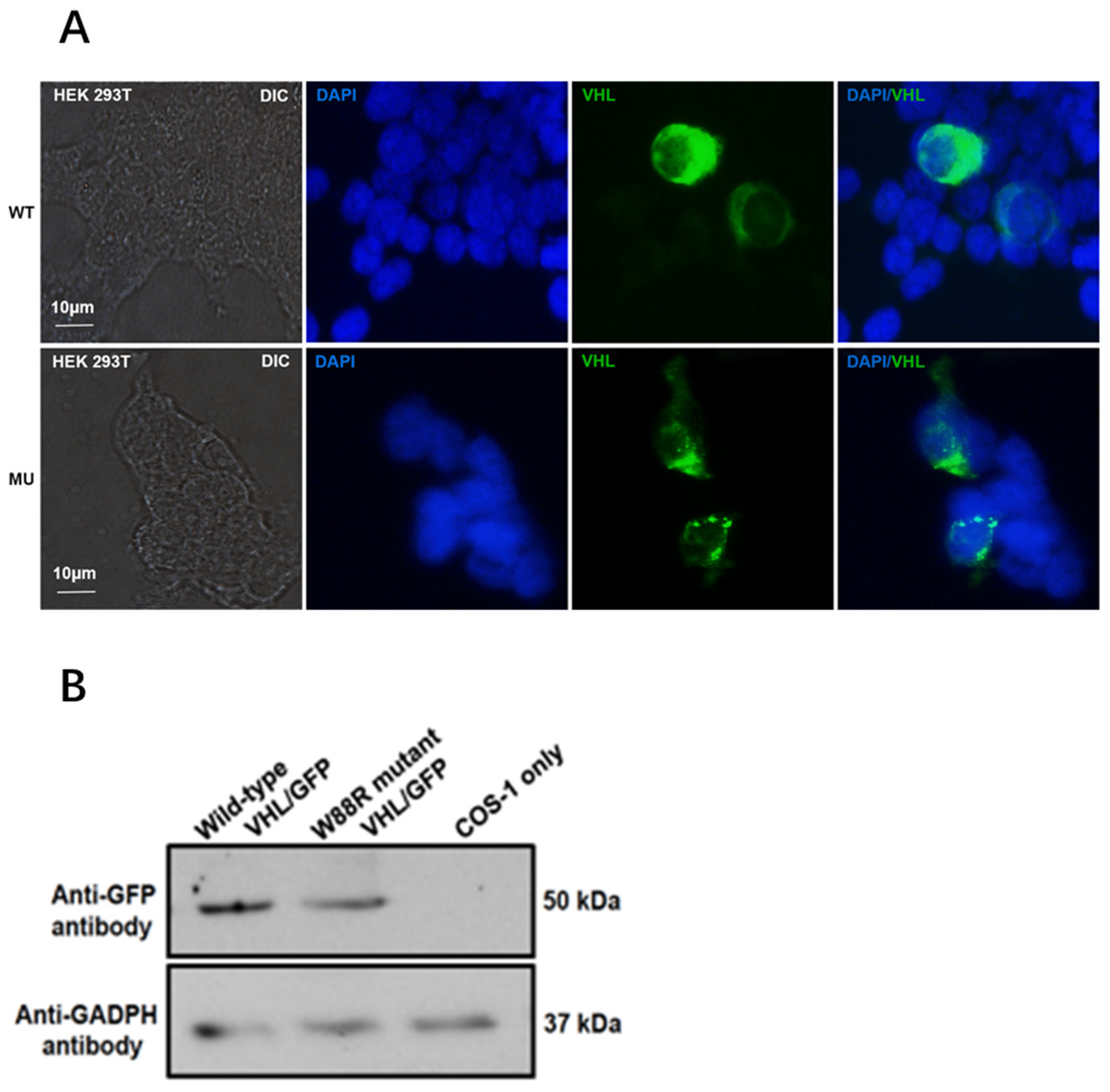 Curroncol 29 00192 g004