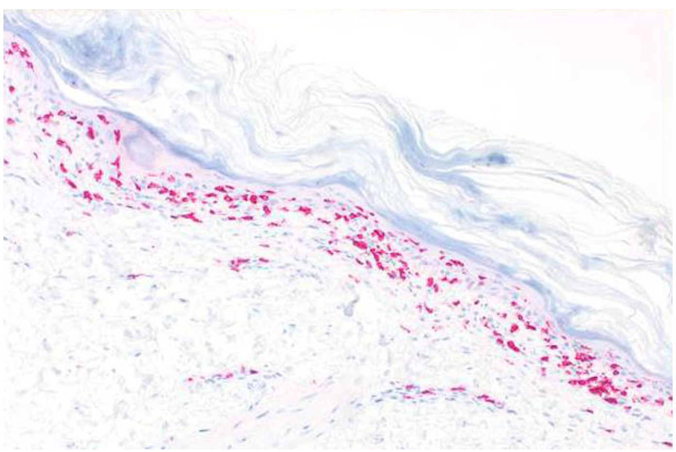 Curroncol 29 00194 g006