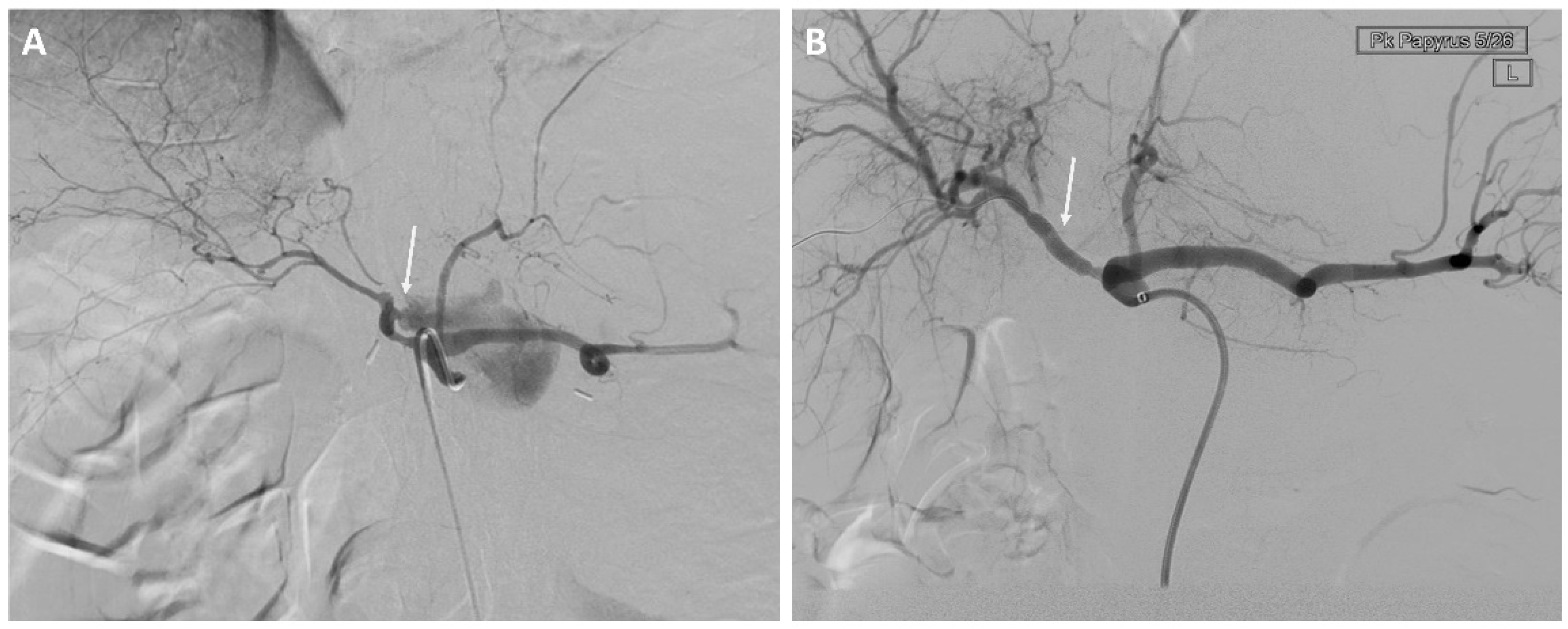 Curroncol 29 00201 g001