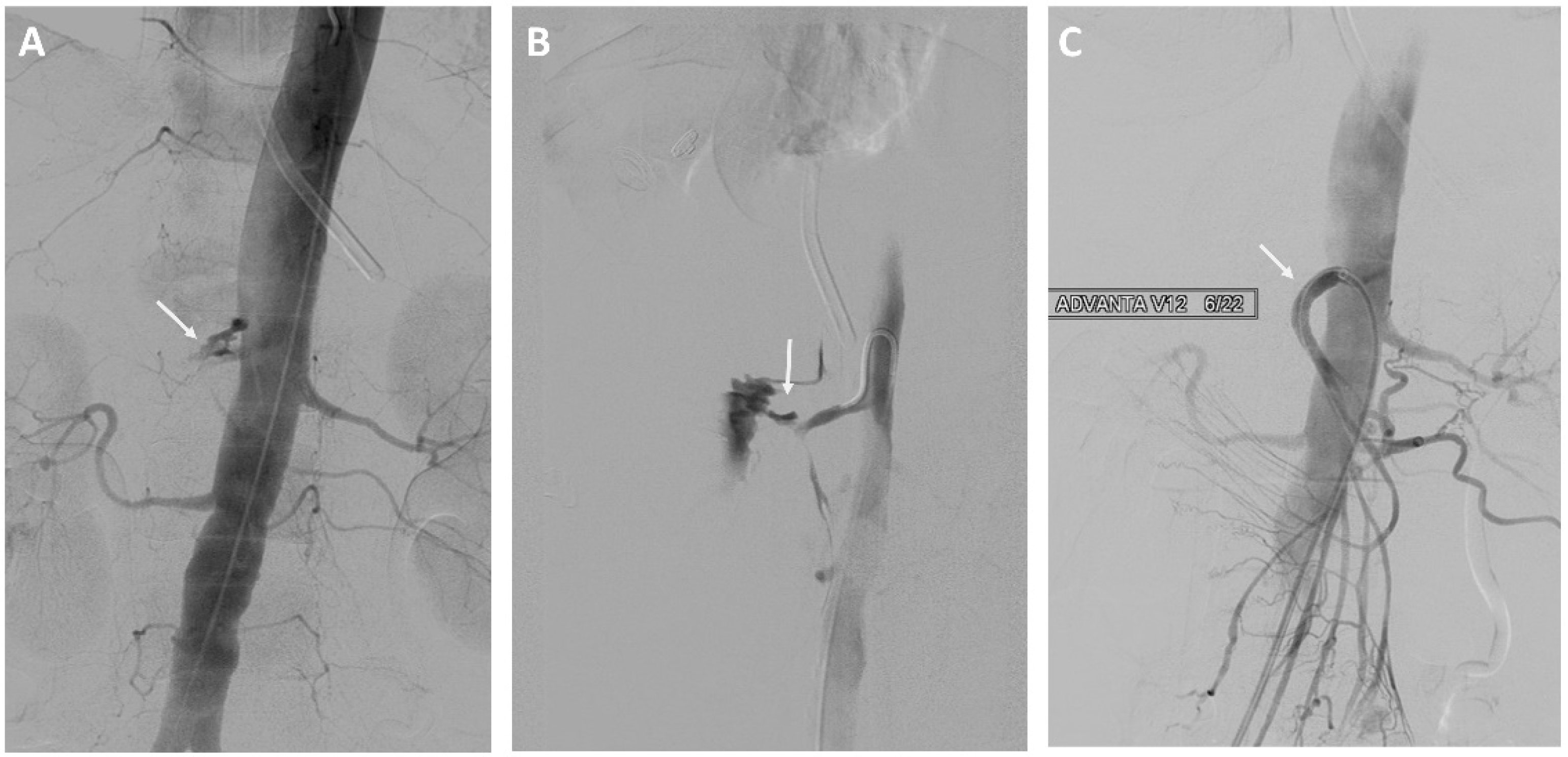 Curroncol 29 00201 g002