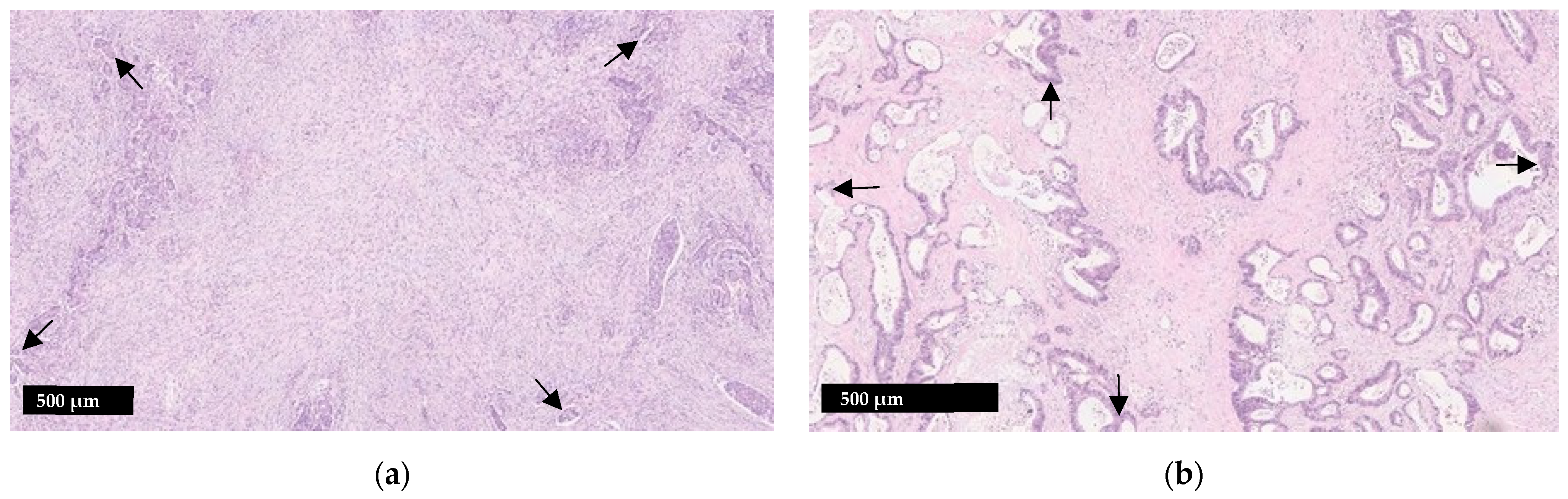 Curroncol 29 00263 g001