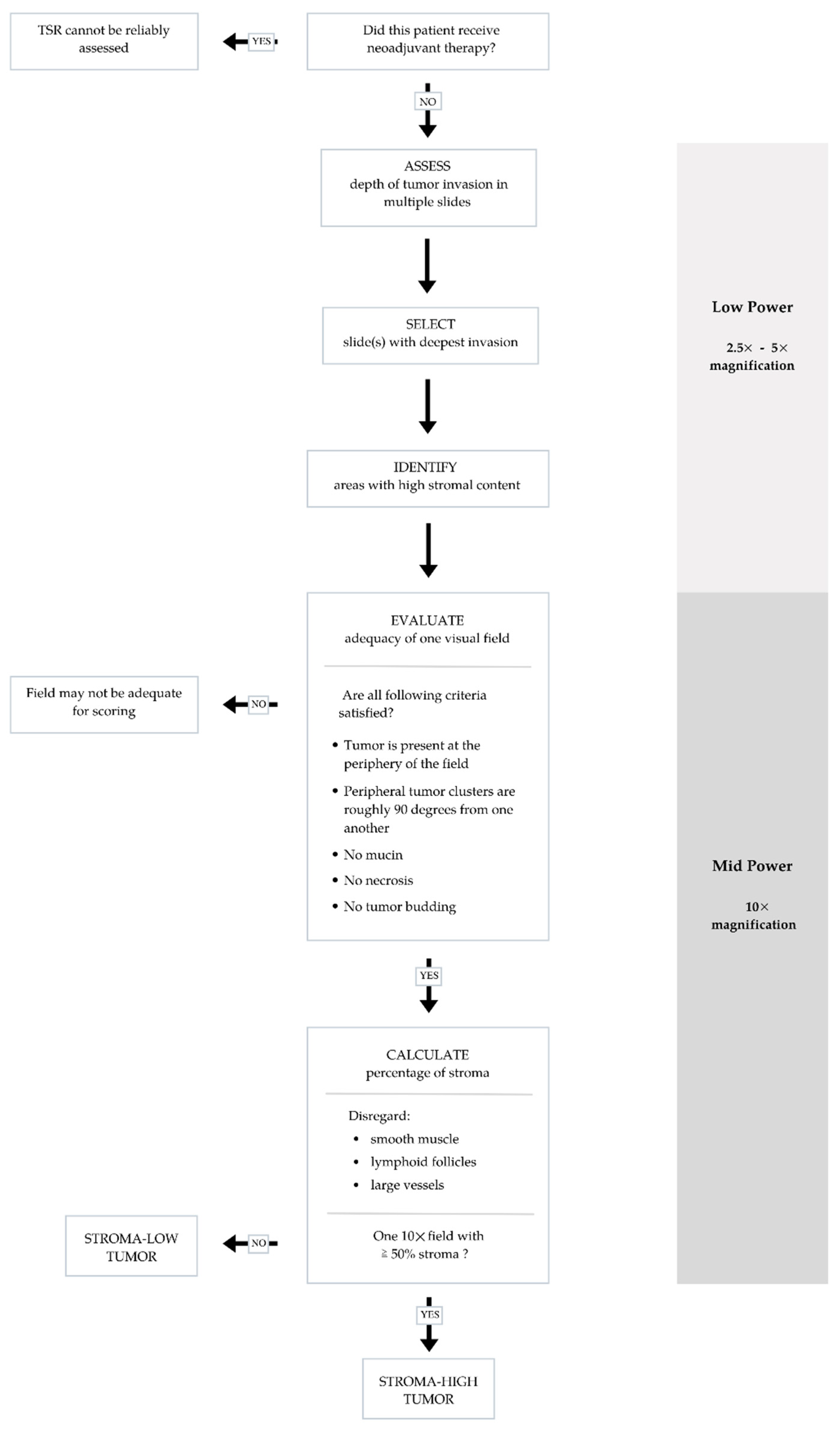 Curroncol 29 00263 g002