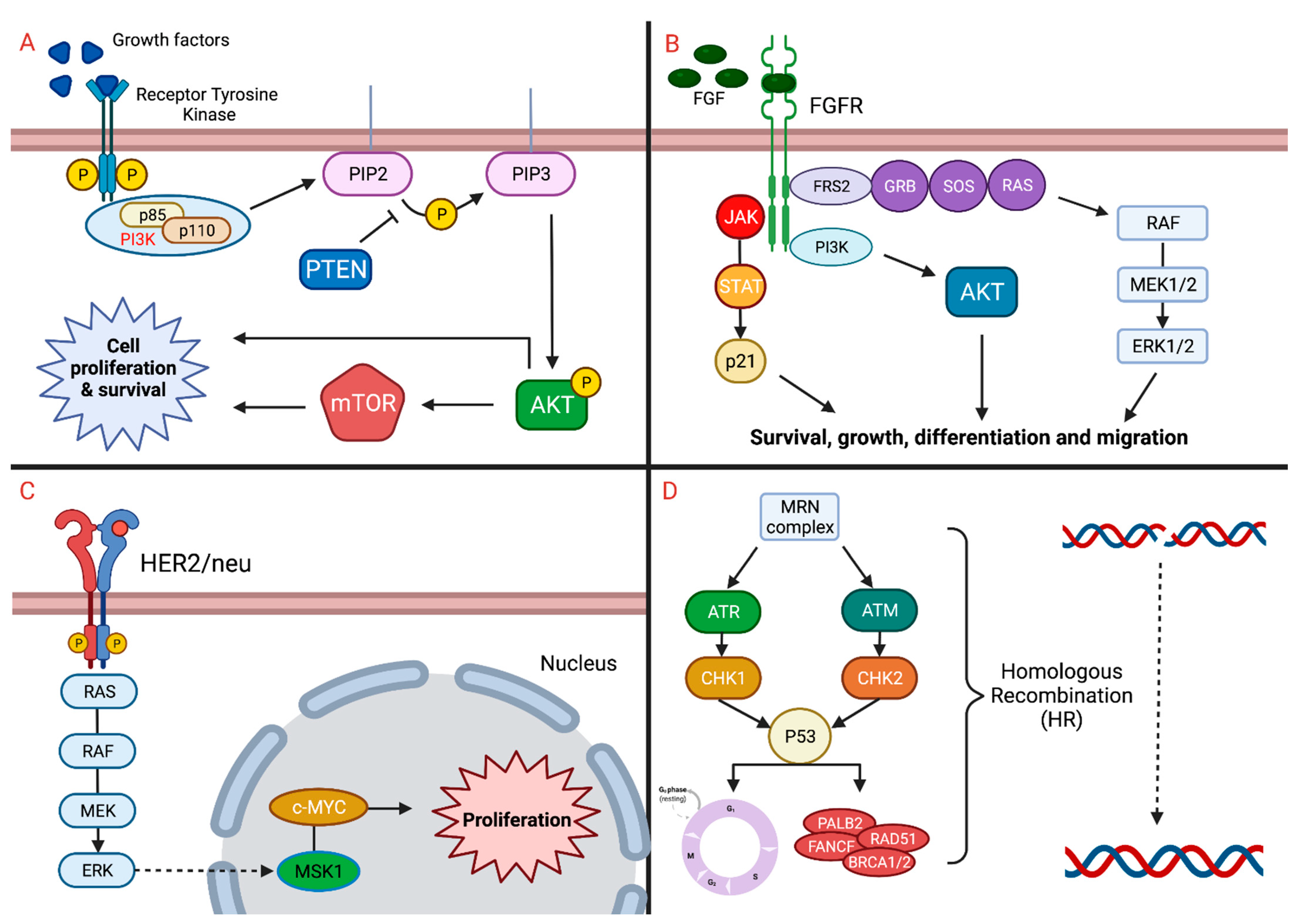 Curroncol 29 00283 g001