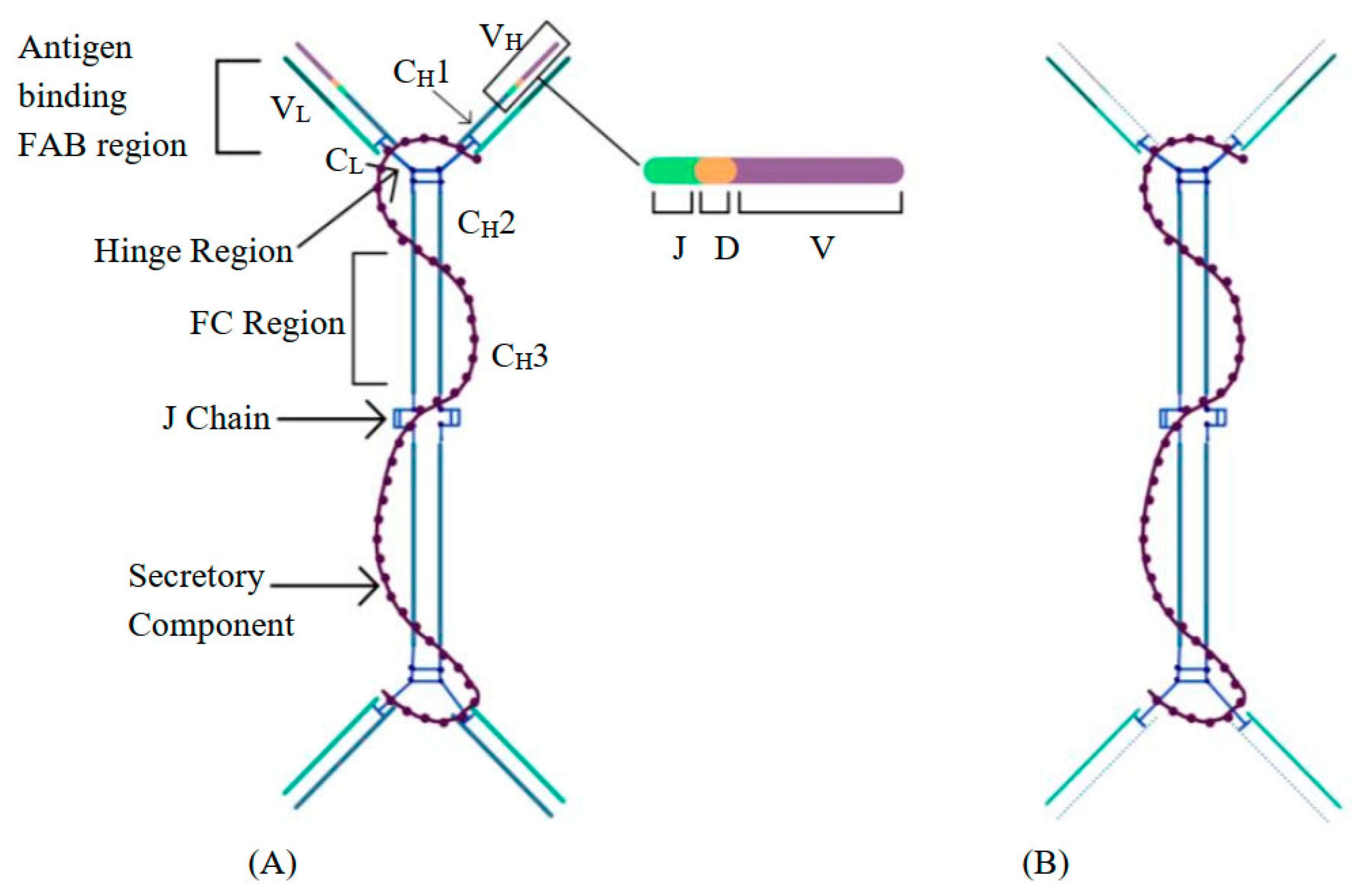 Curroncol 29 00301 g002