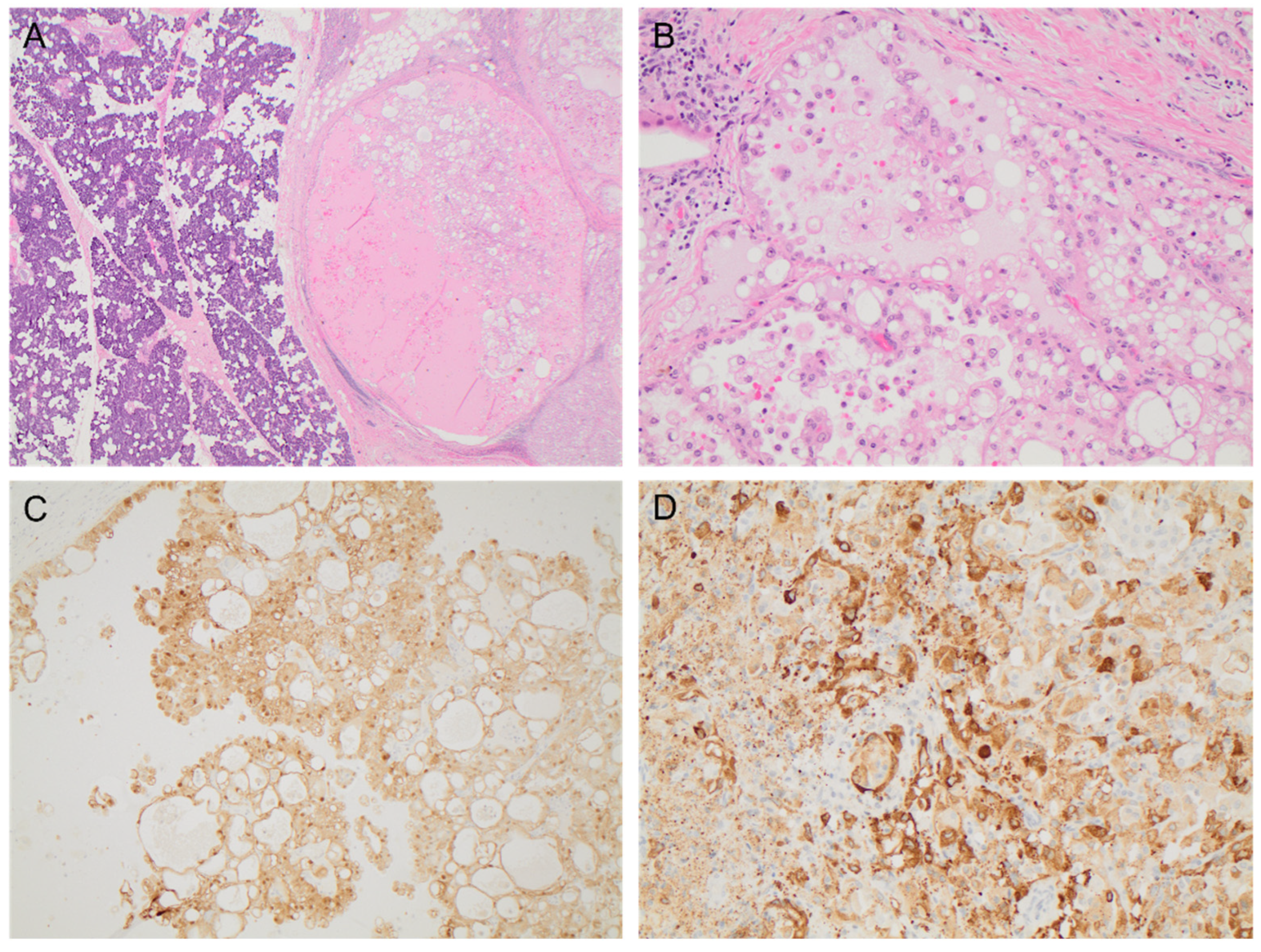 Curroncol 29 00314 g001