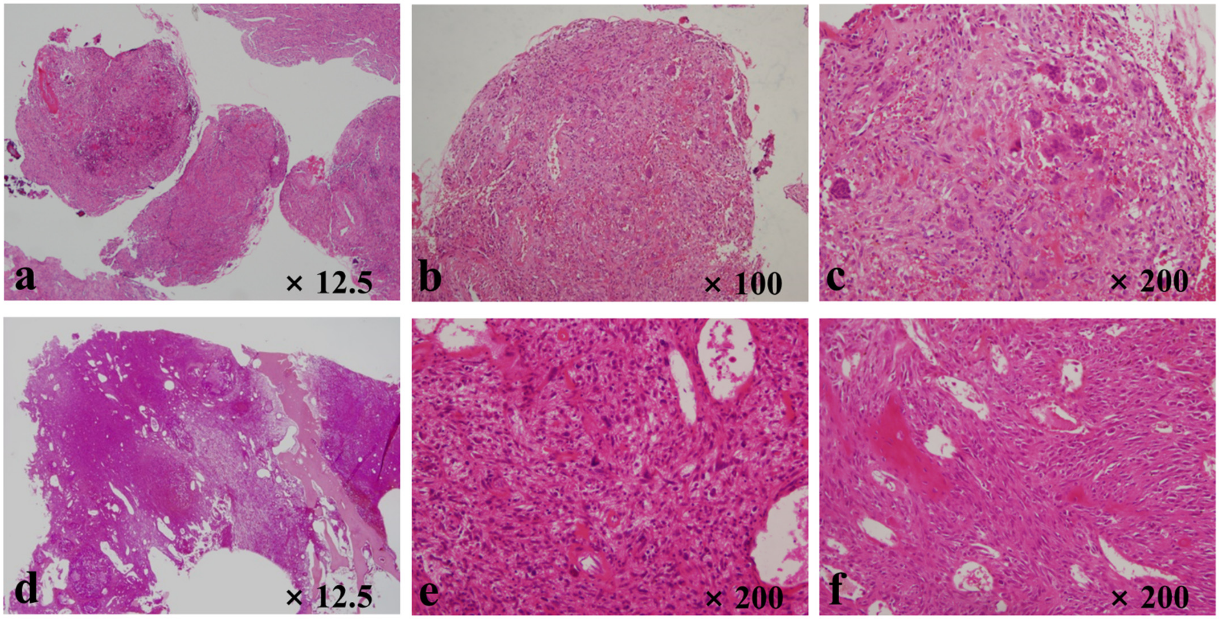Curroncol 29 00324 g002