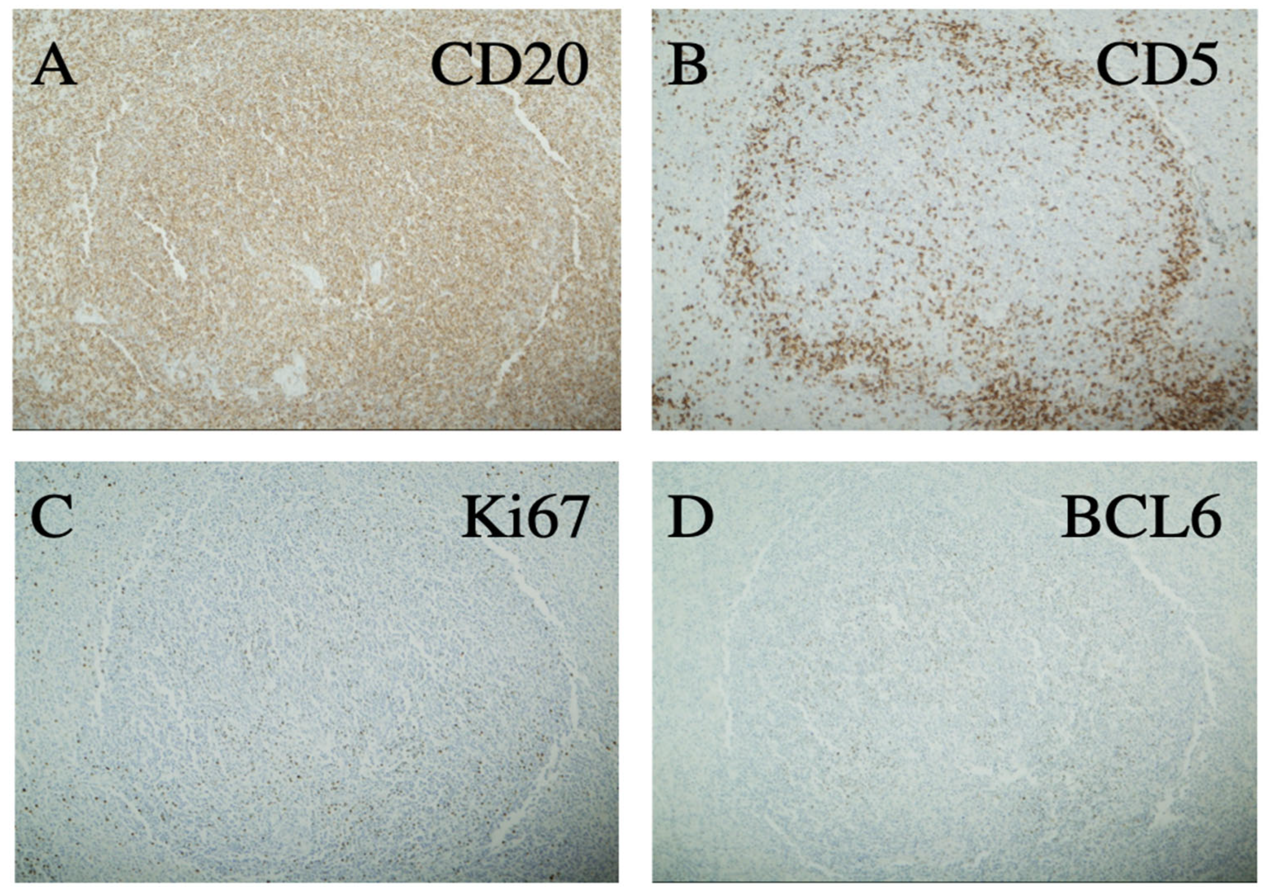 Curroncol 29 00328 g002 Curroncol 29 00328 g002