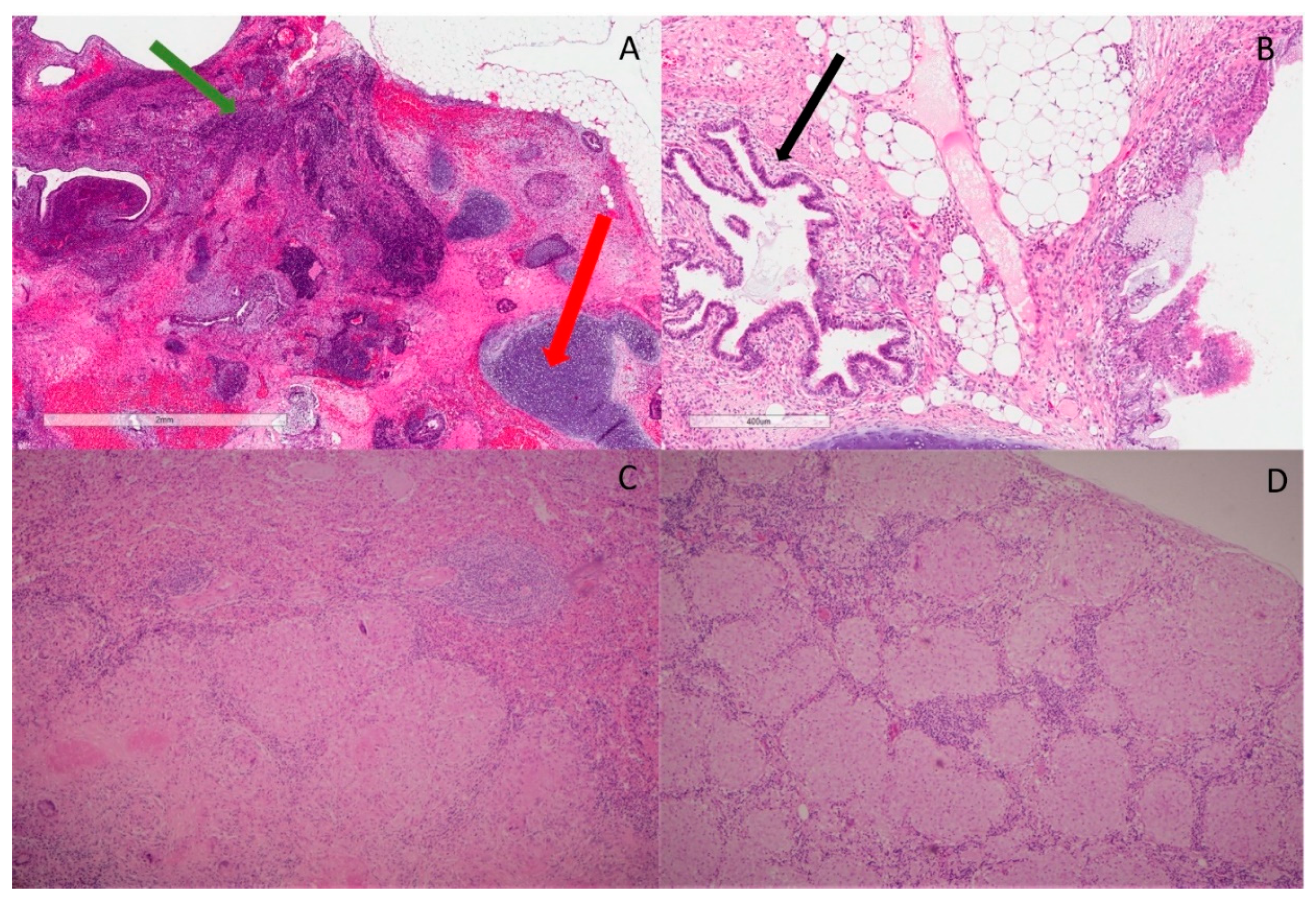 Curroncol 29 00331 g001