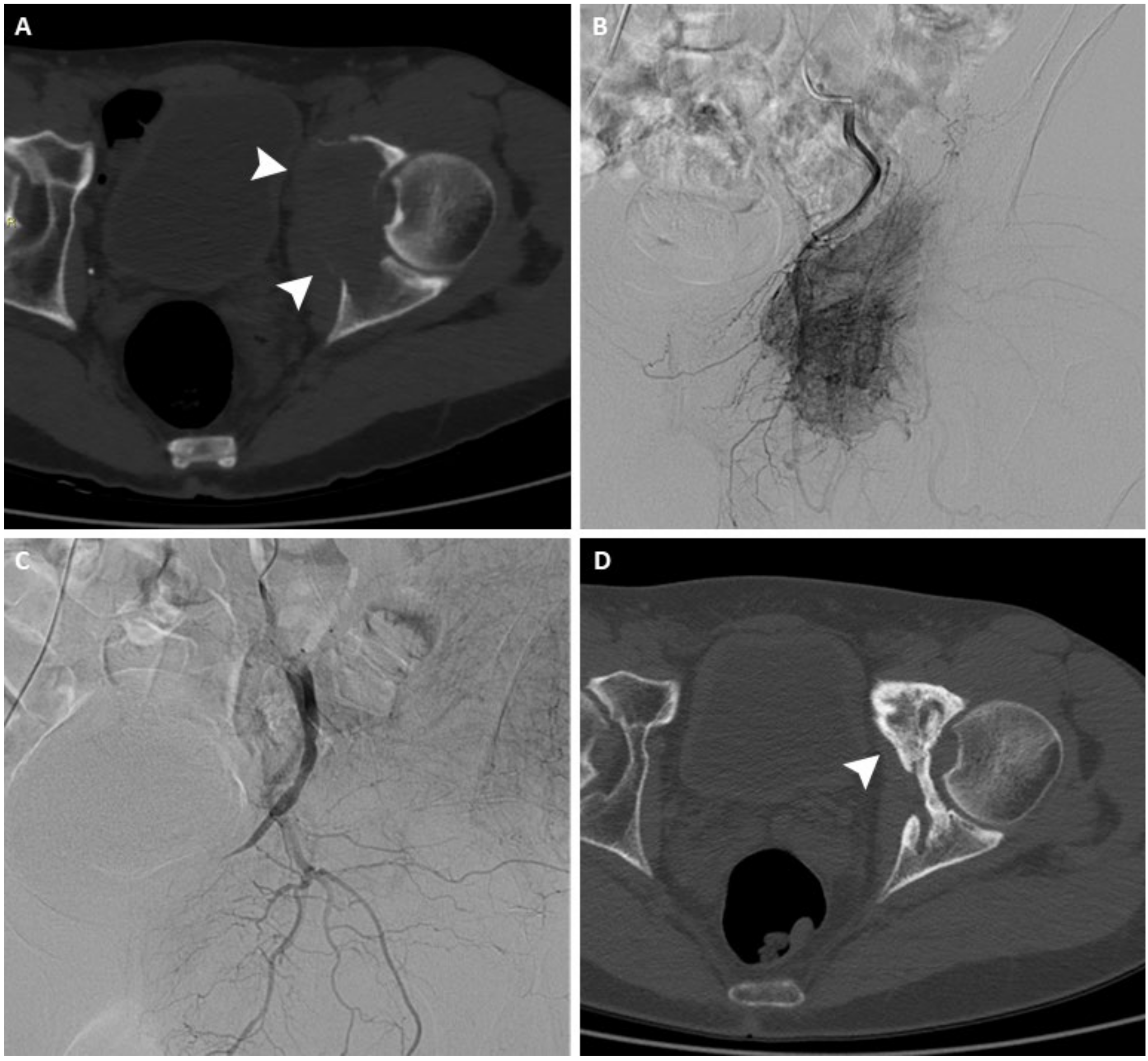 Curroncol 29 00332 g001