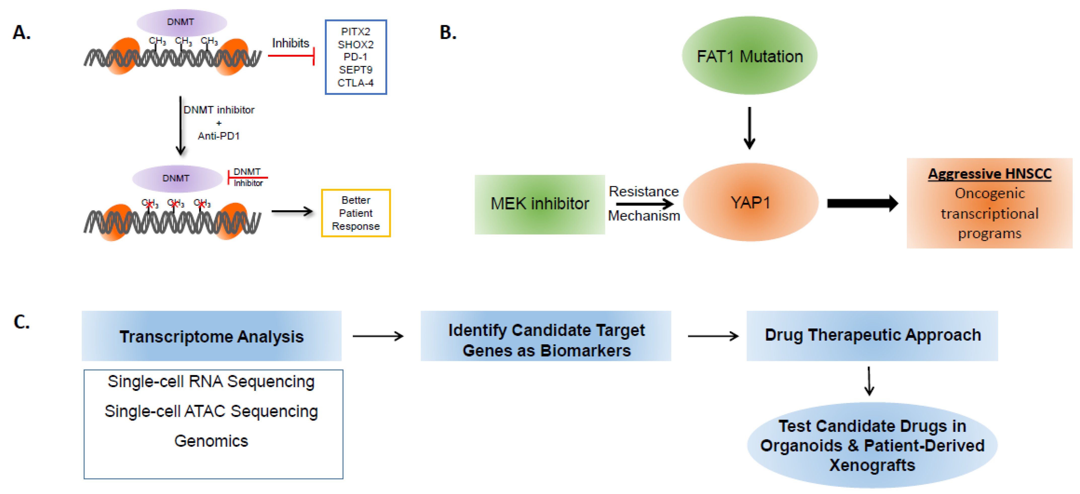 Curroncol 29 00334 g001