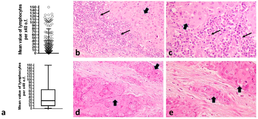 Curroncol 29 00342 g001