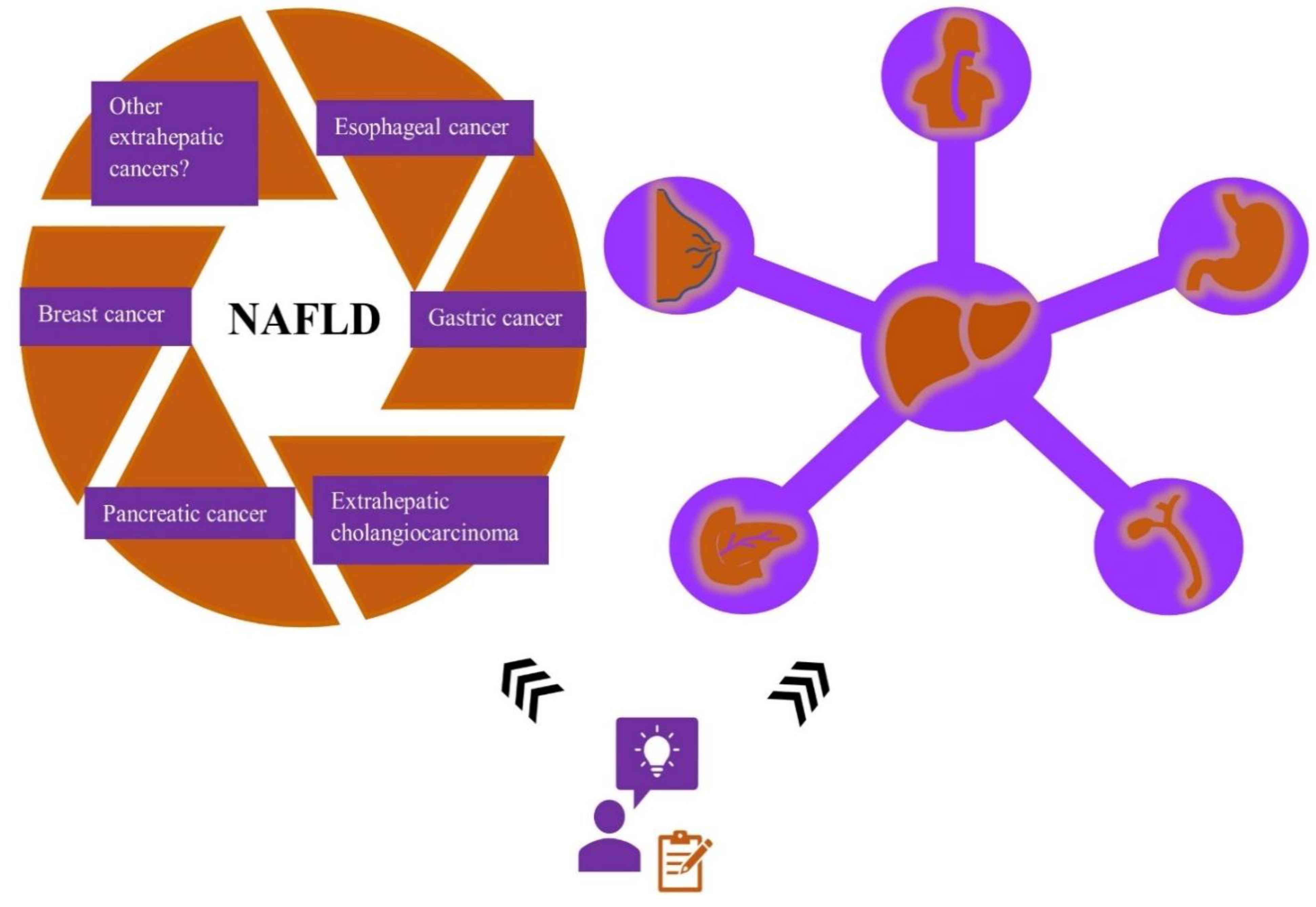 Curroncol 29 00356 g004