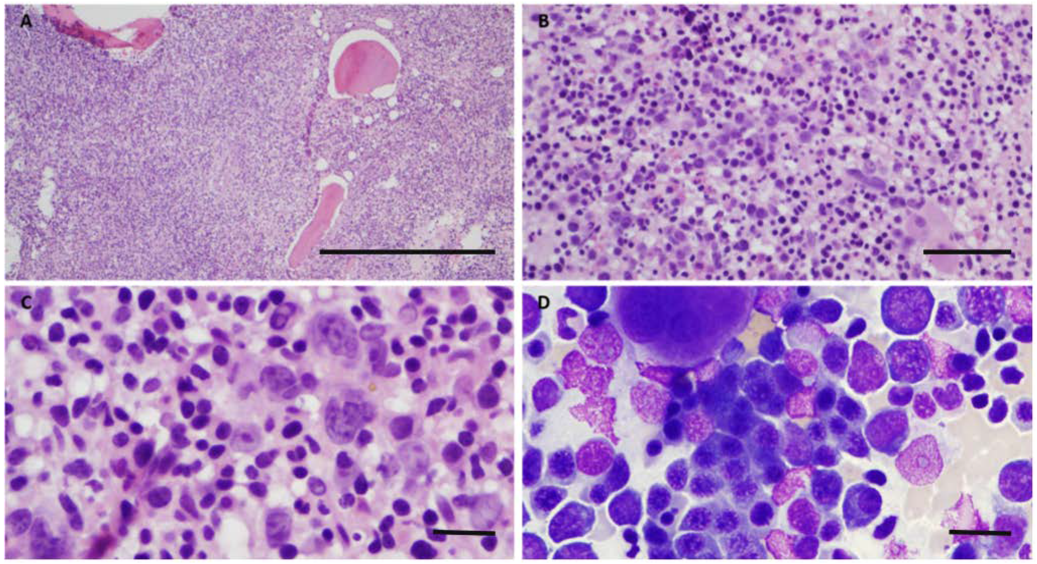 Curroncol 29 00363 g001