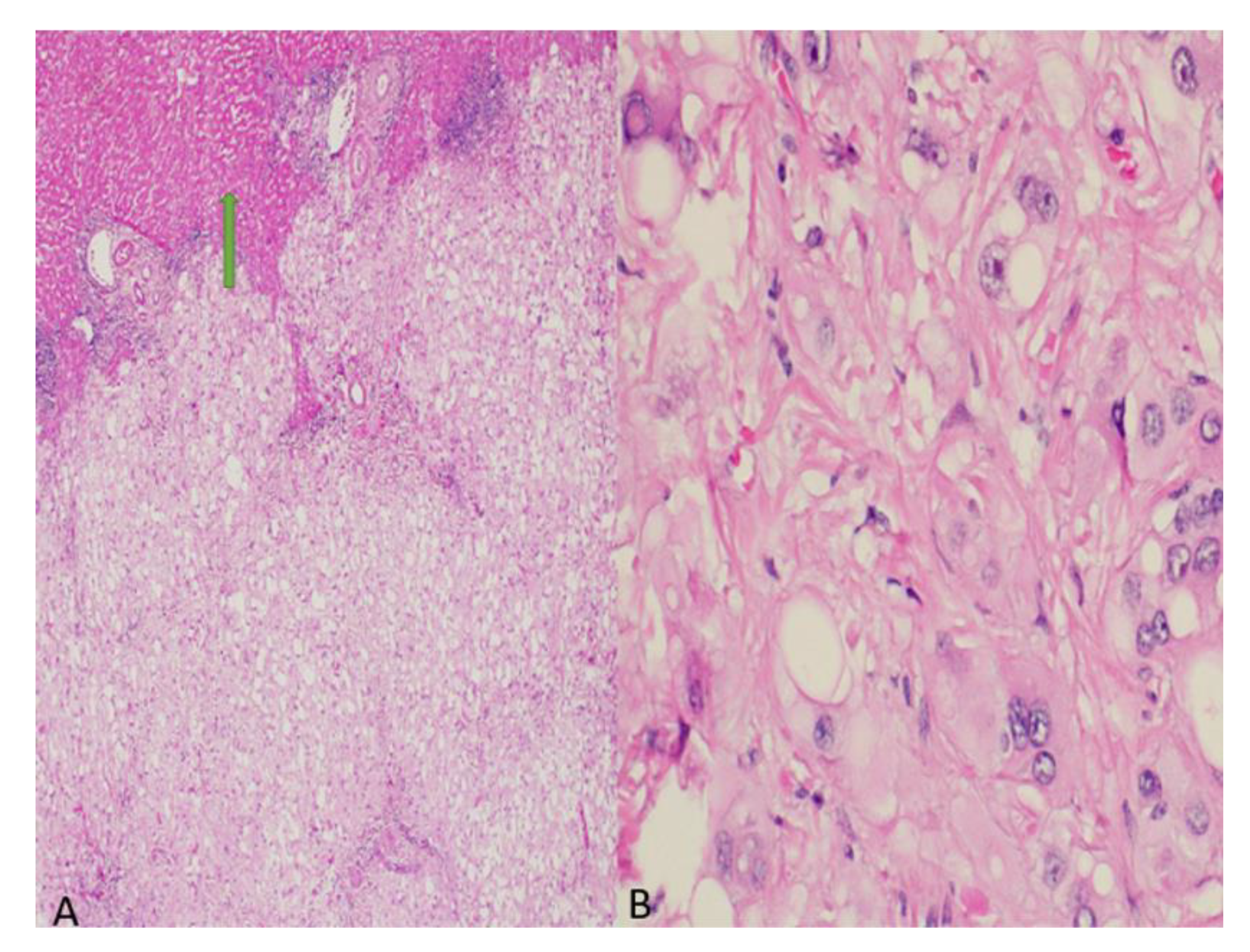 Curroncol 29 00367 g002