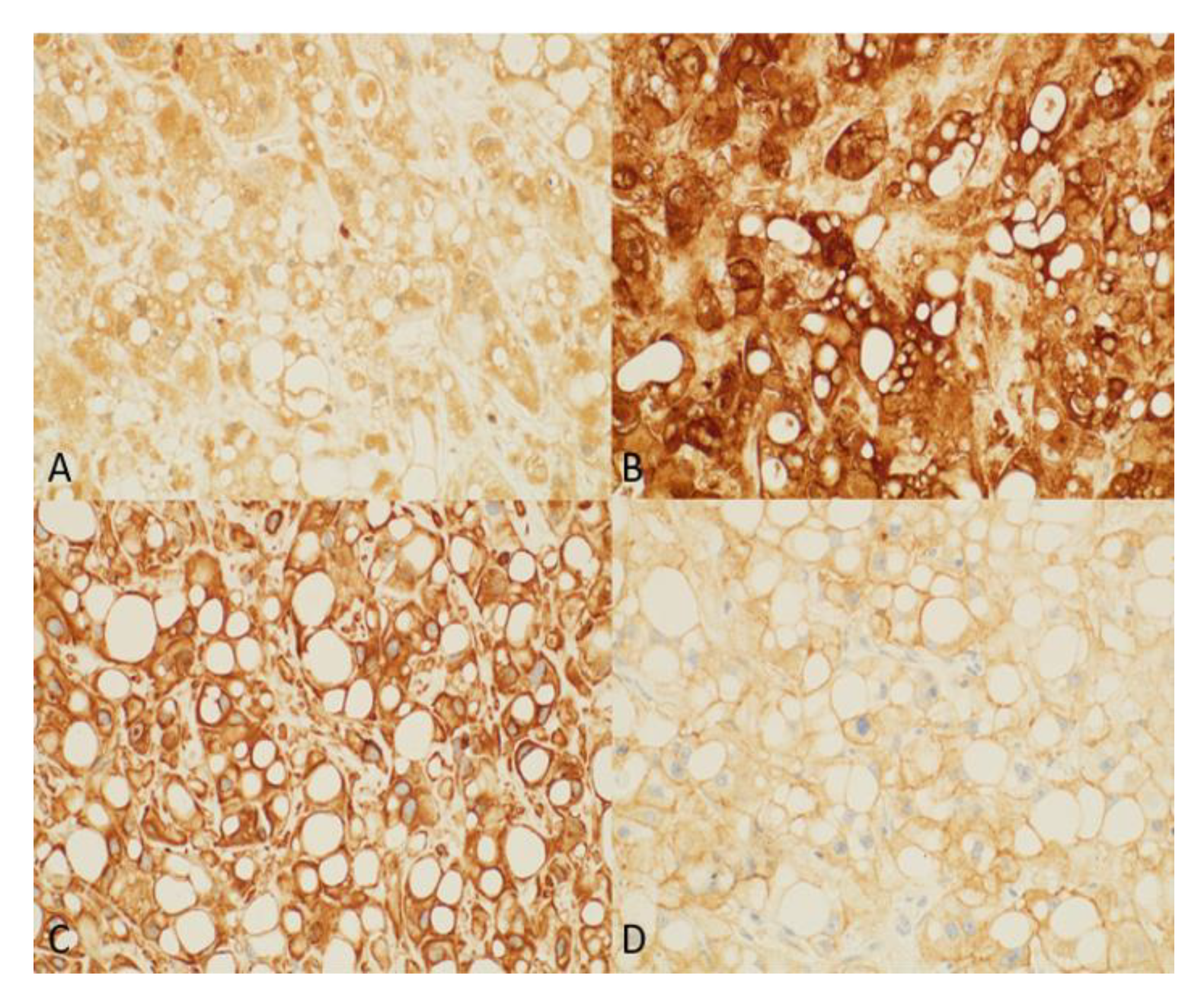 Curroncol 29 00367 g003