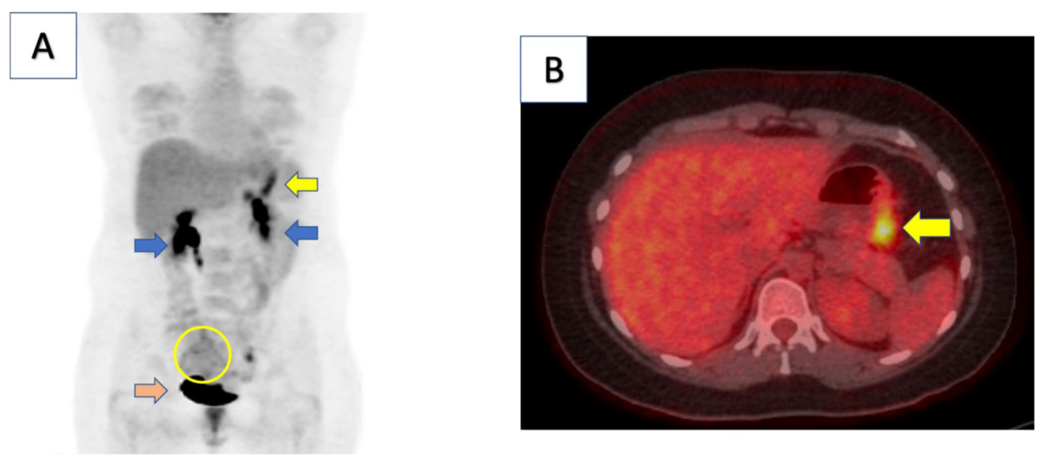 Curroncol 29 00375 g001