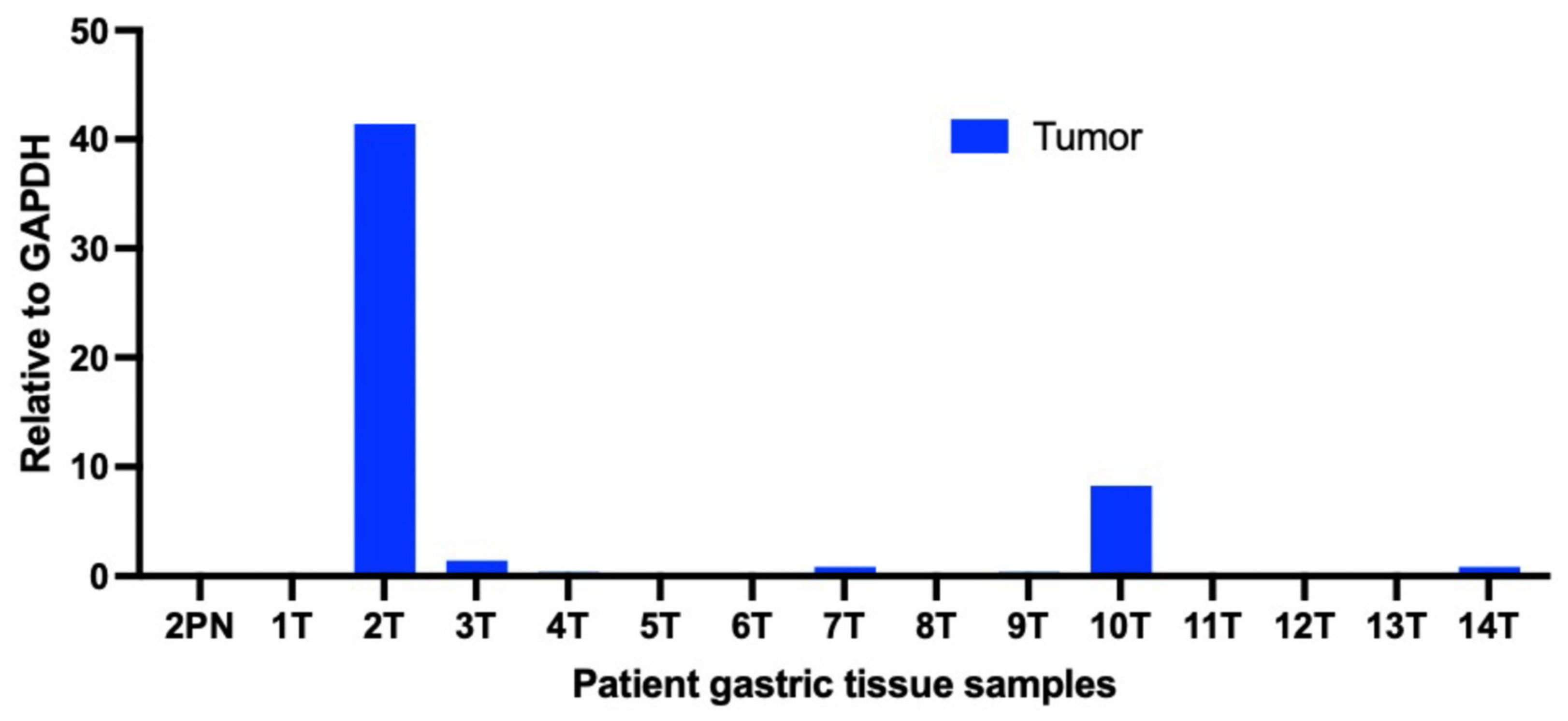 Curroncol 29 00375 g004