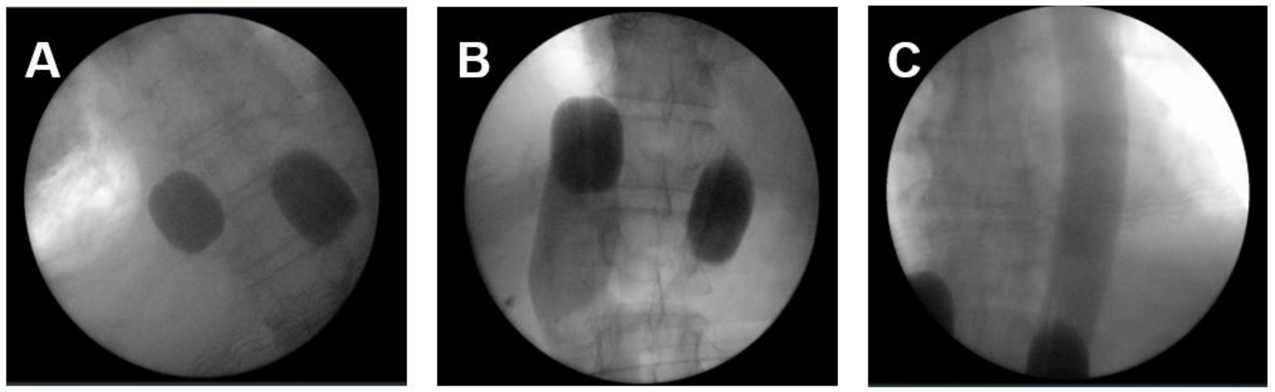 Curroncol 29 00386 g001