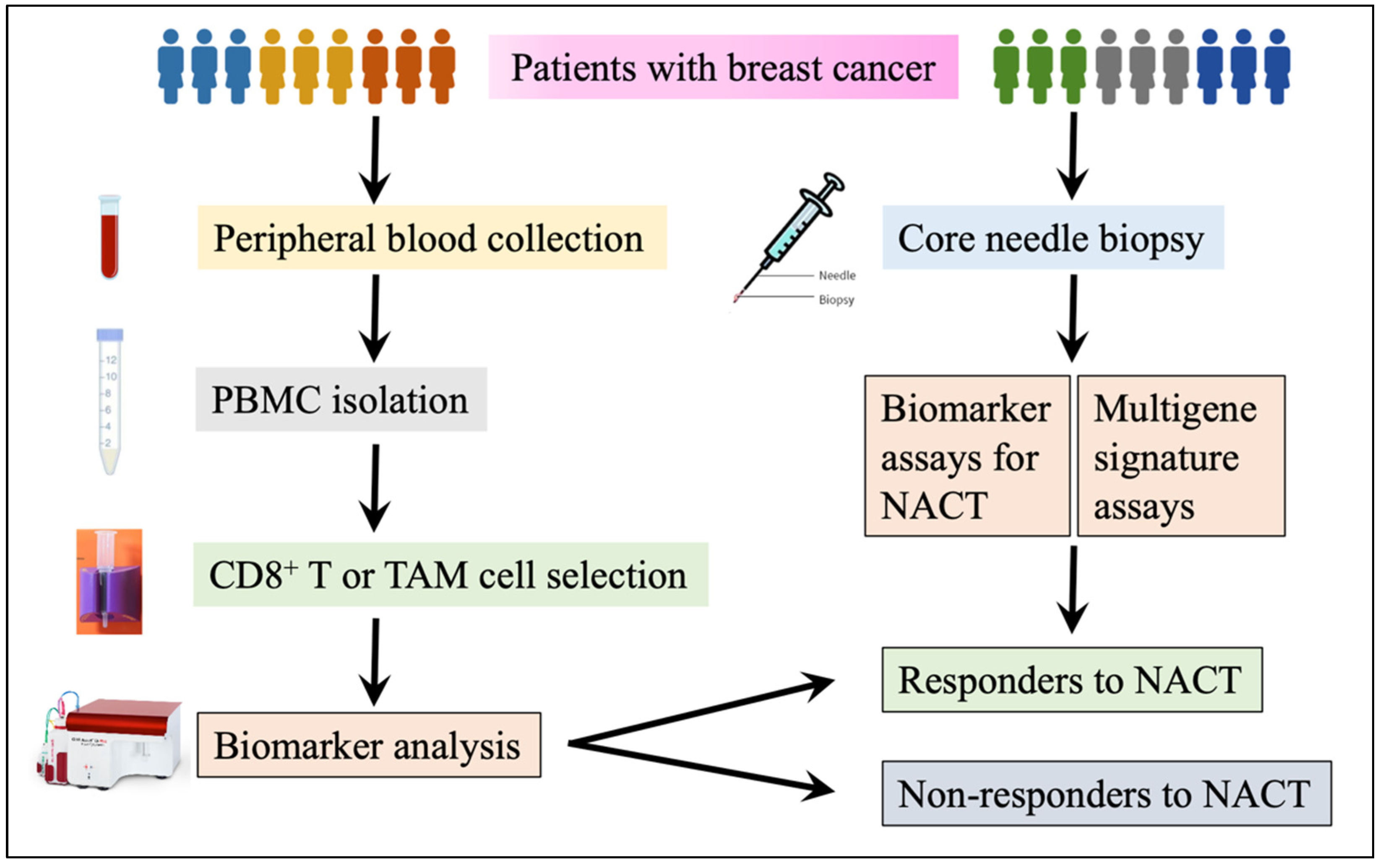 Curroncol 29 00389 g001 Curroncol 29 00389 g001