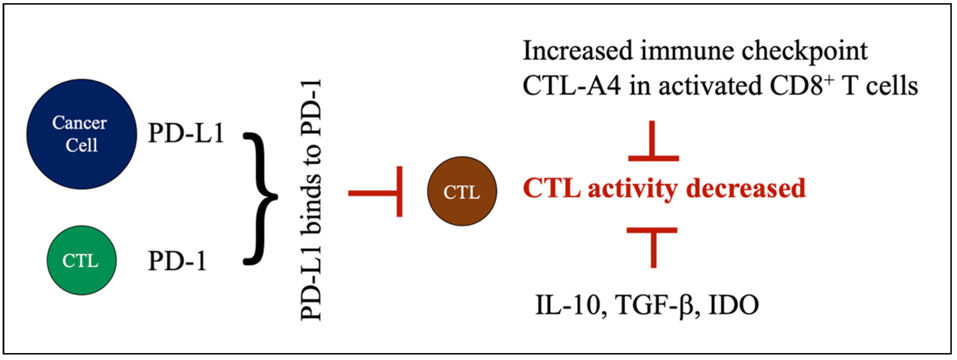 Curroncol 29 00389 g002 Curroncol 29 00389 g002