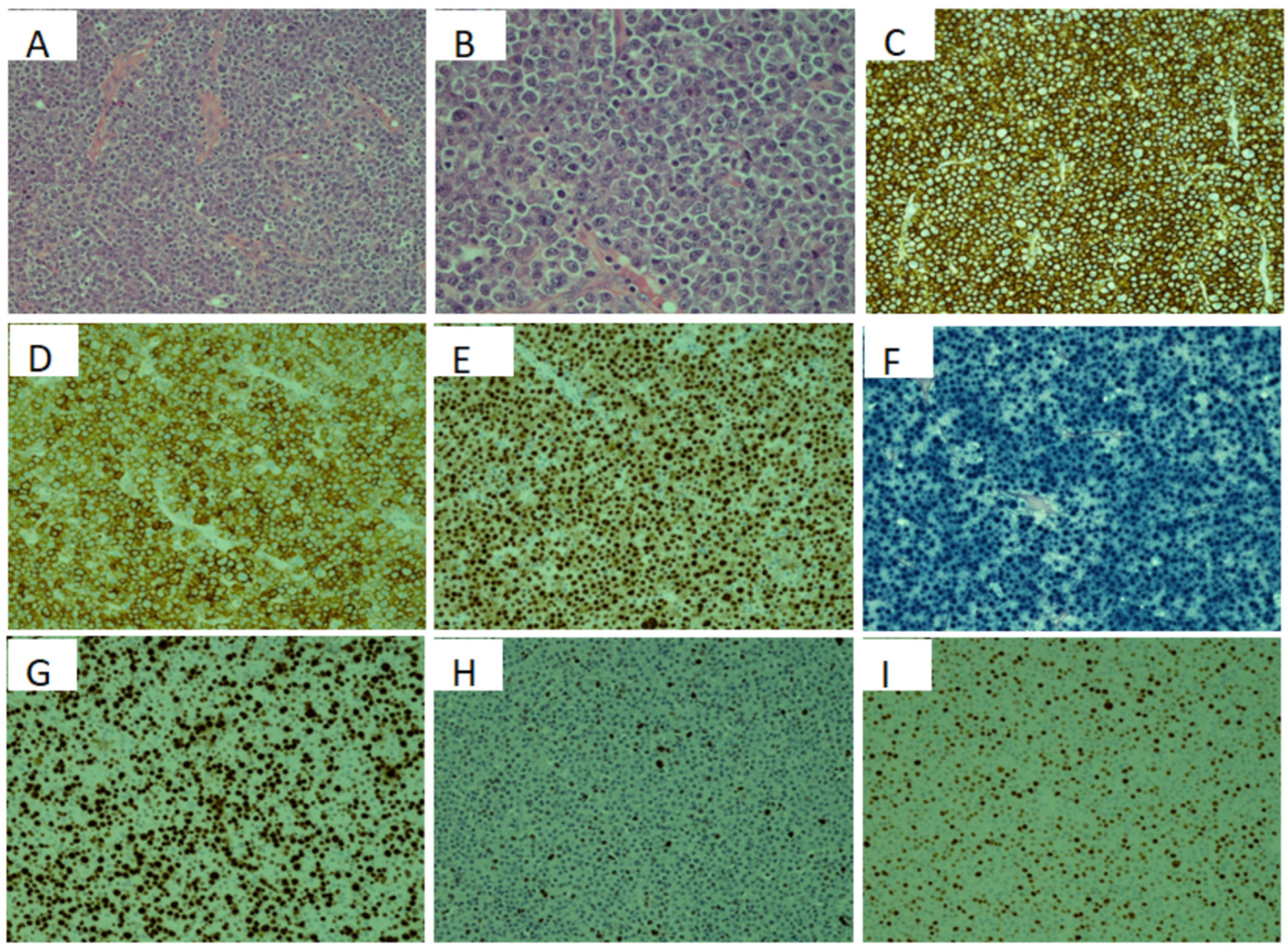 Curroncol 29 00399 g001